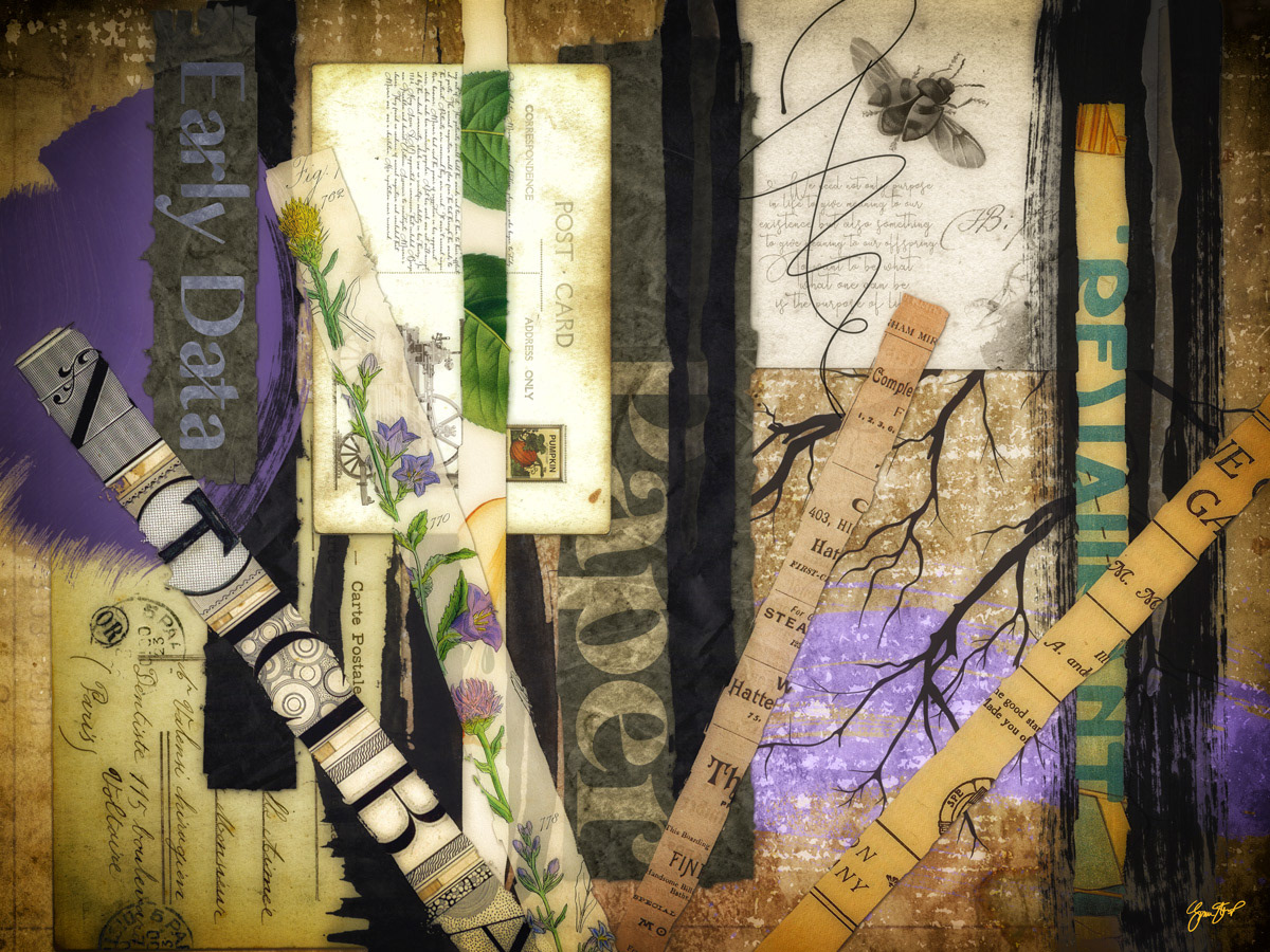 Paper & Postcards by Gina Startup