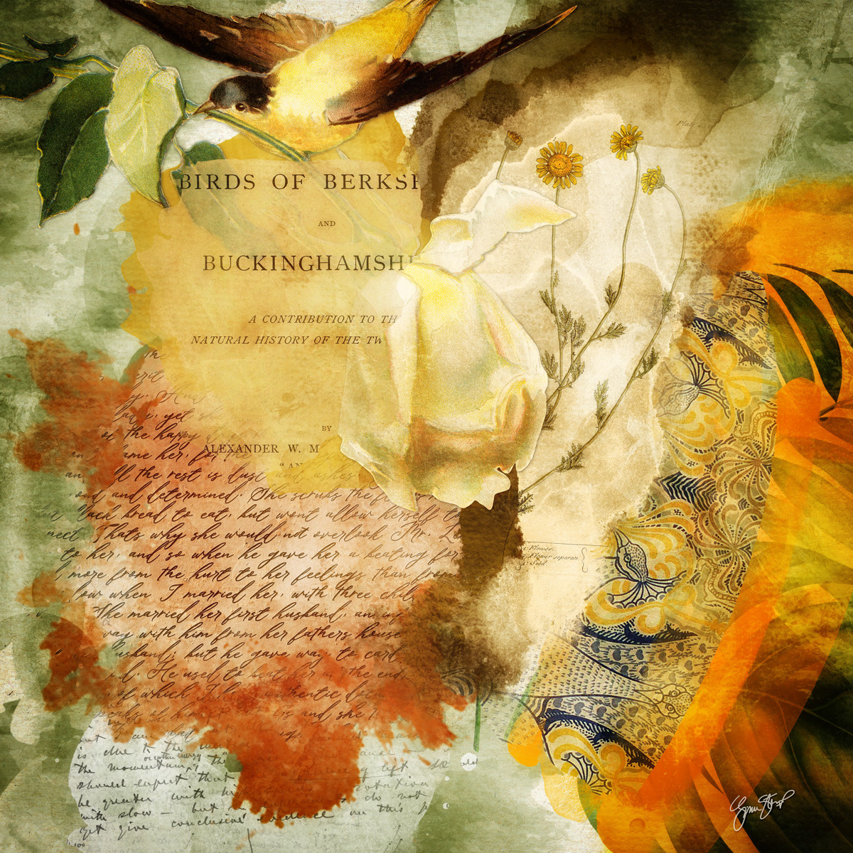 Collage art by Gina Startup