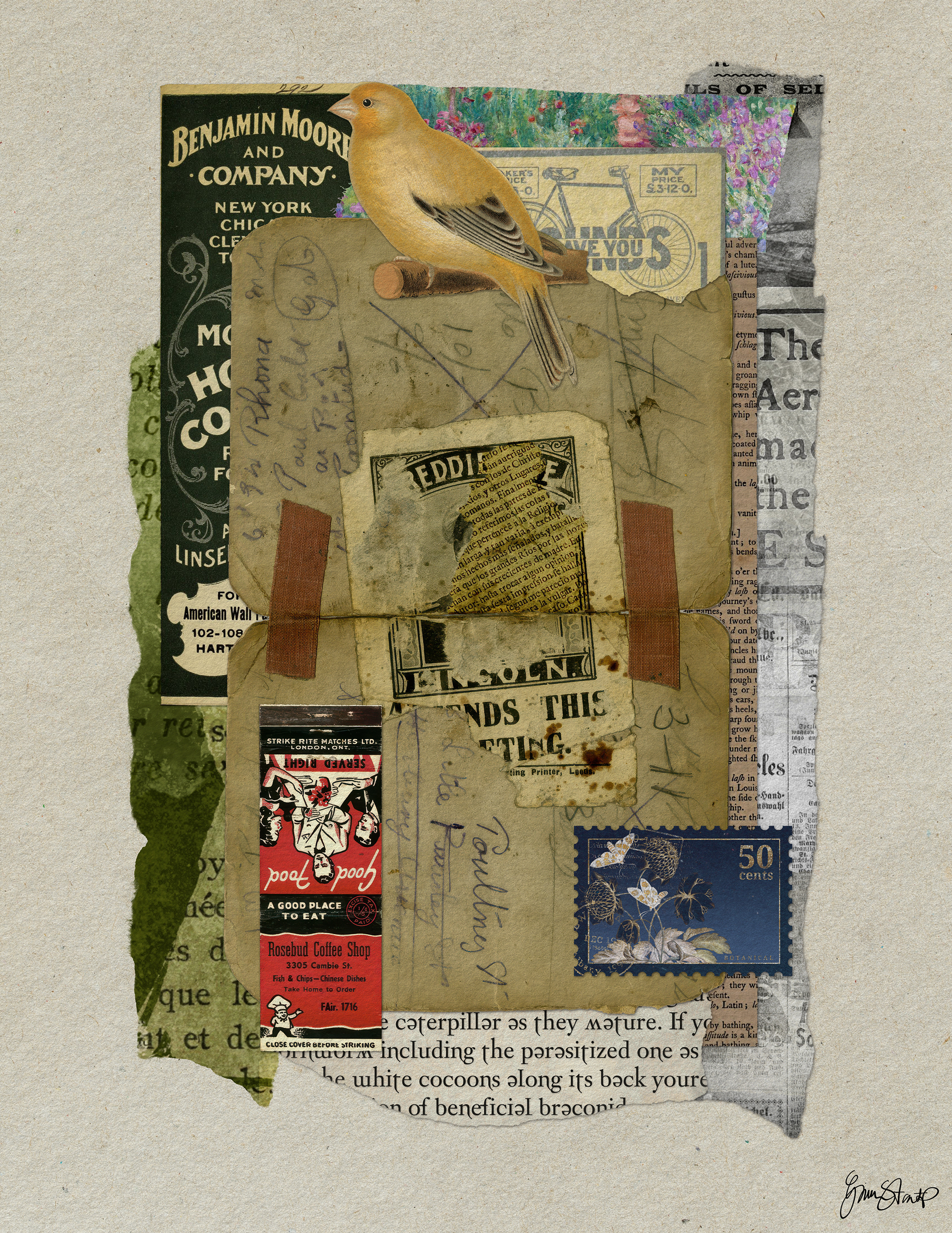 Layers of Ideas by Gina Startup 