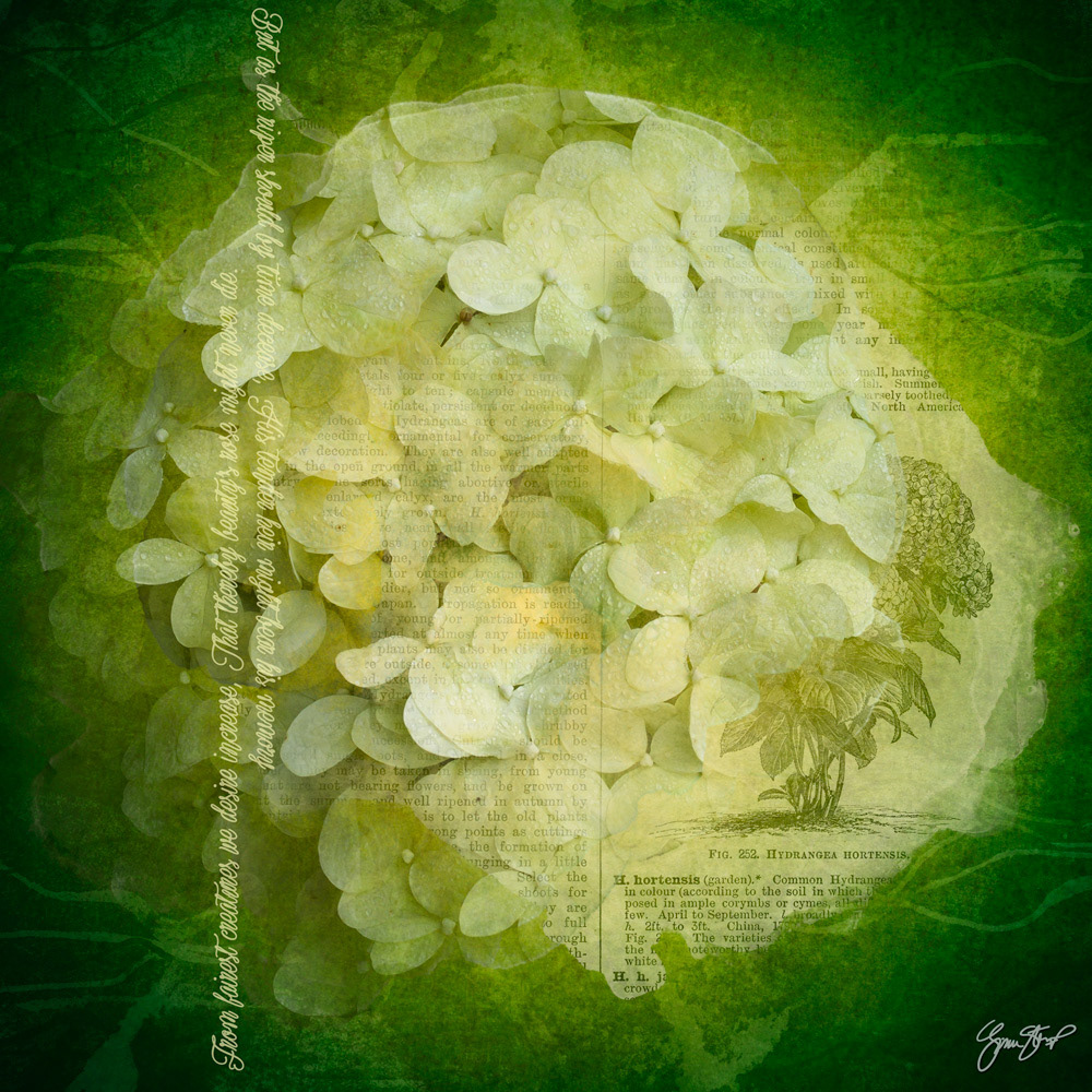 Mixed media