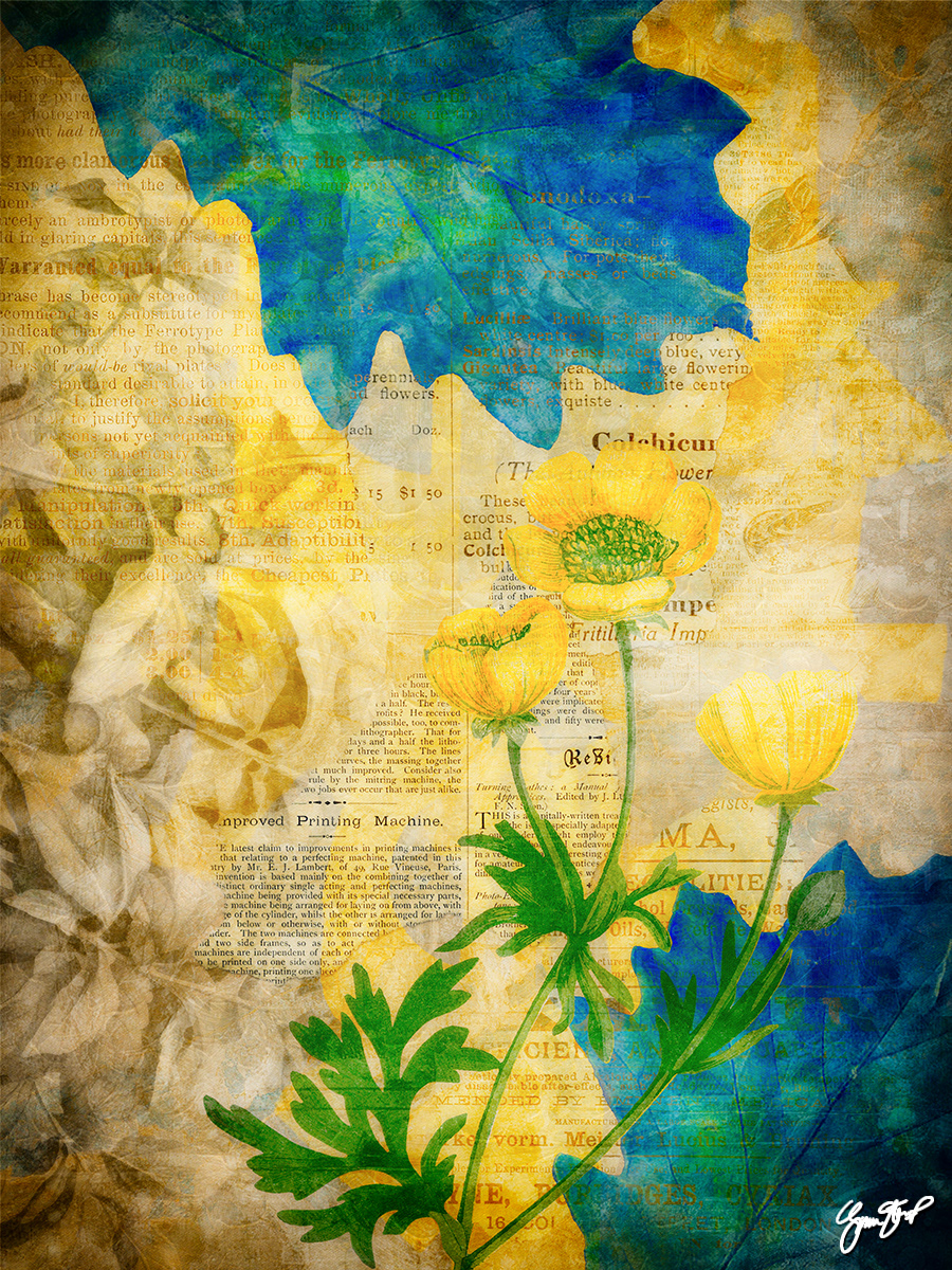 Yellow Paper