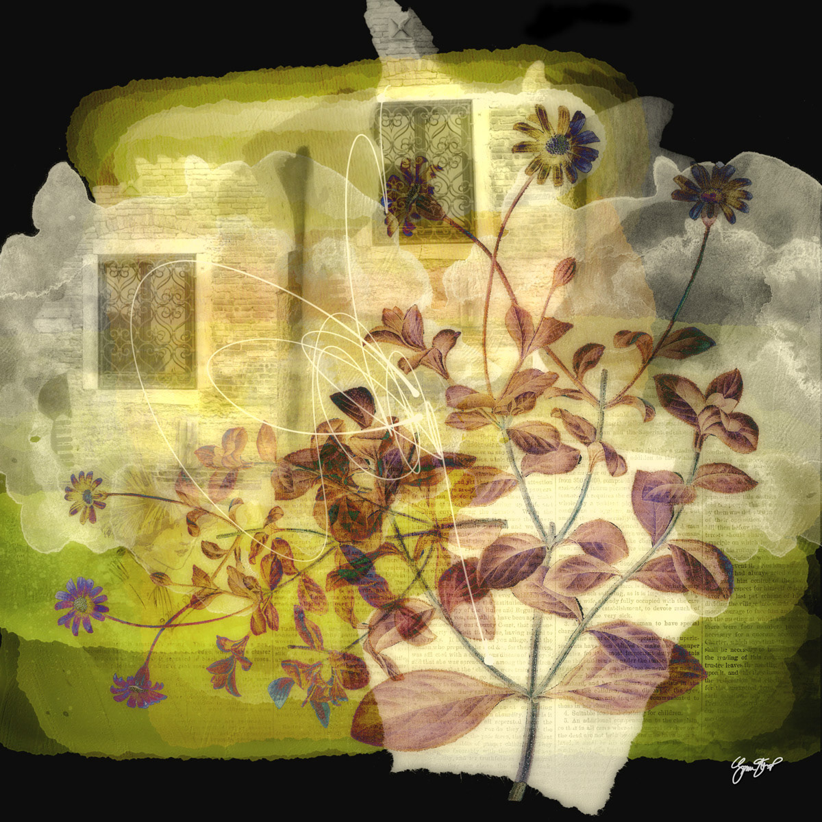 Mixed media collage art by Gina Startup