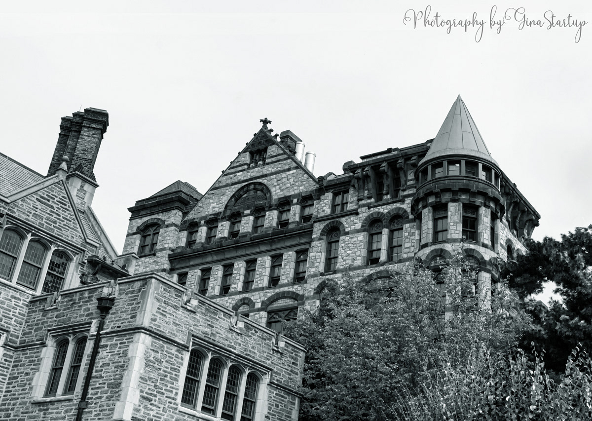 Photography by Gina Startup
