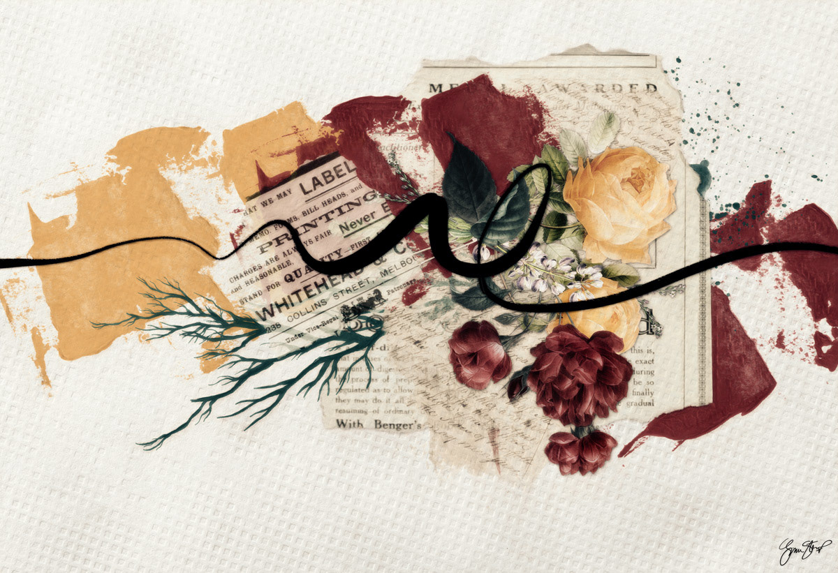 Paper Roses by Gina Startup