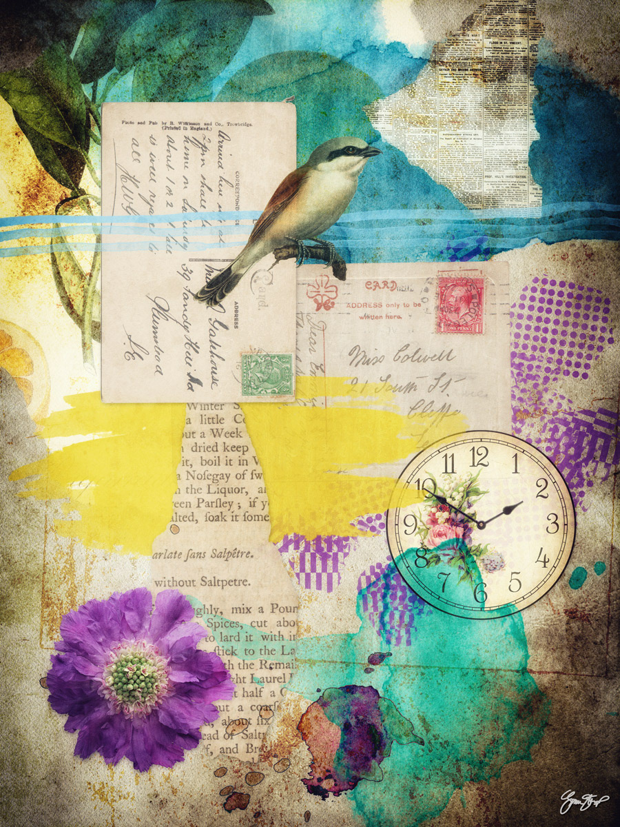 Late Postcards by Gina Startup