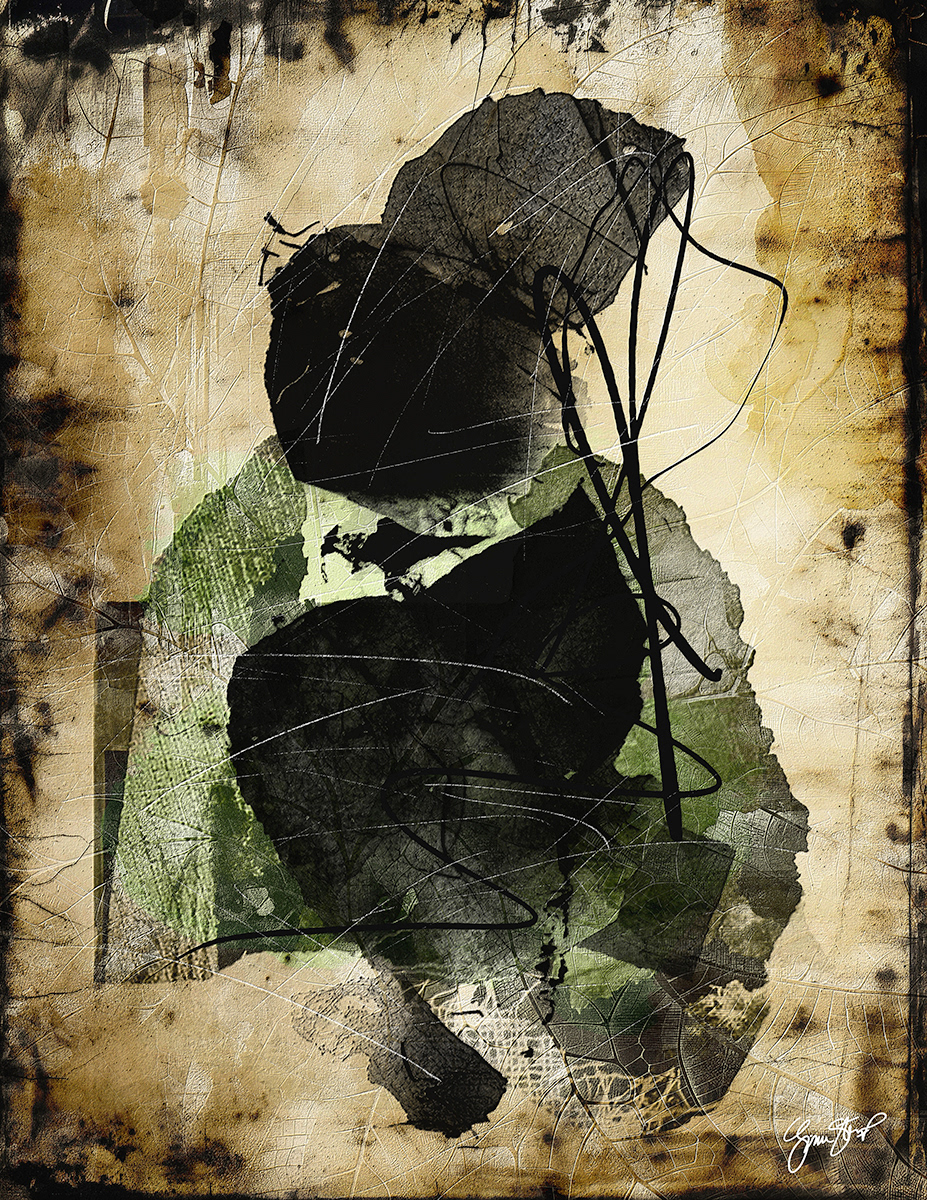 Green Shadow by Gina Startup 