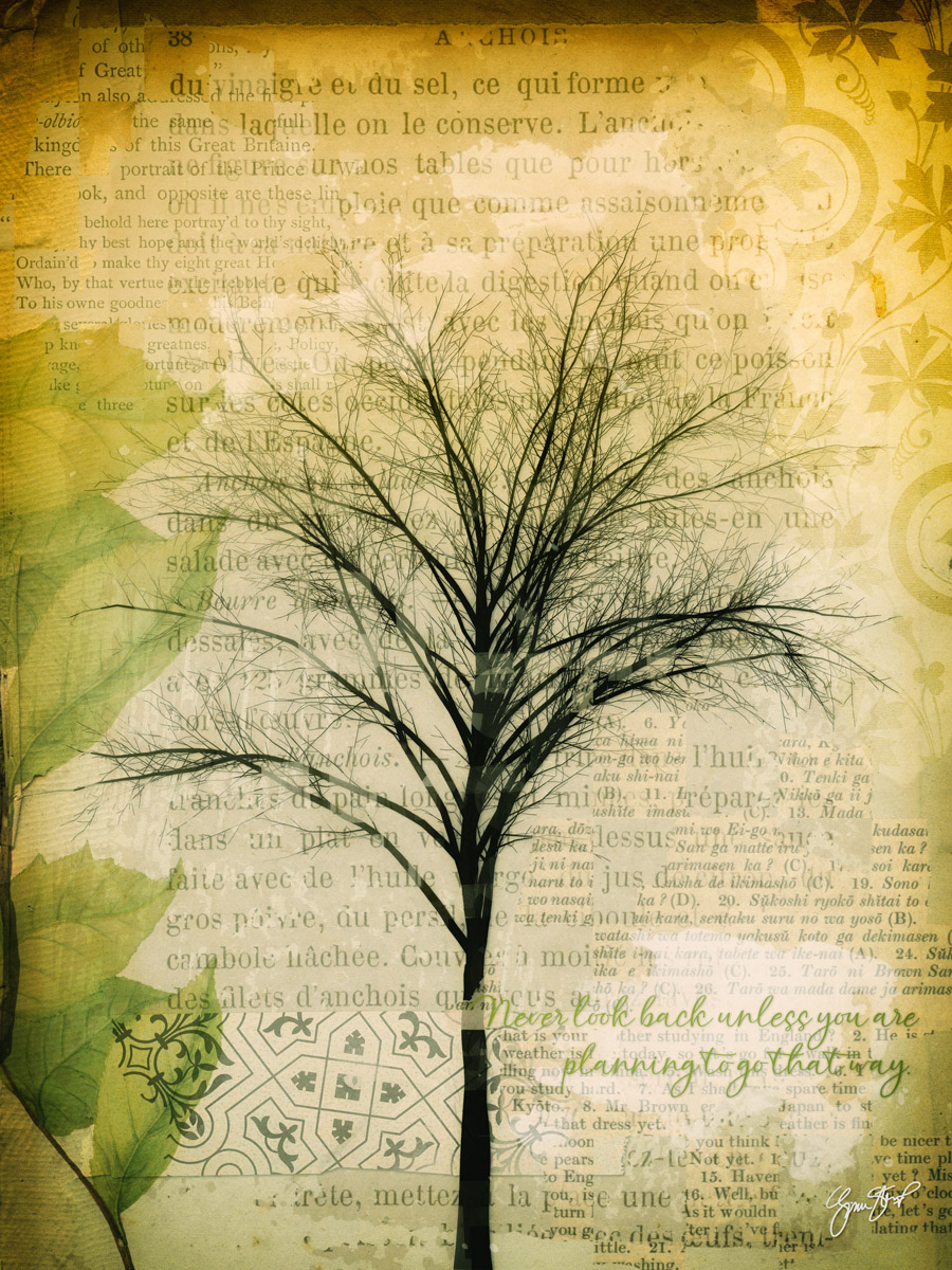 Never Look Back by Gina Startup 