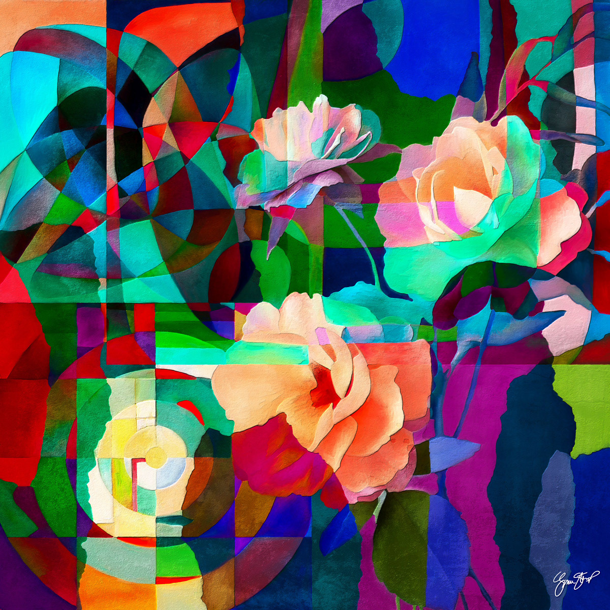 December Roses by Gina Startup