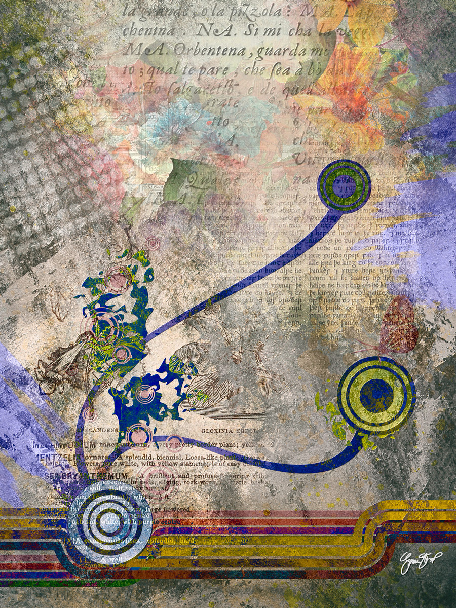 Collage 15 by Gina Startup 
