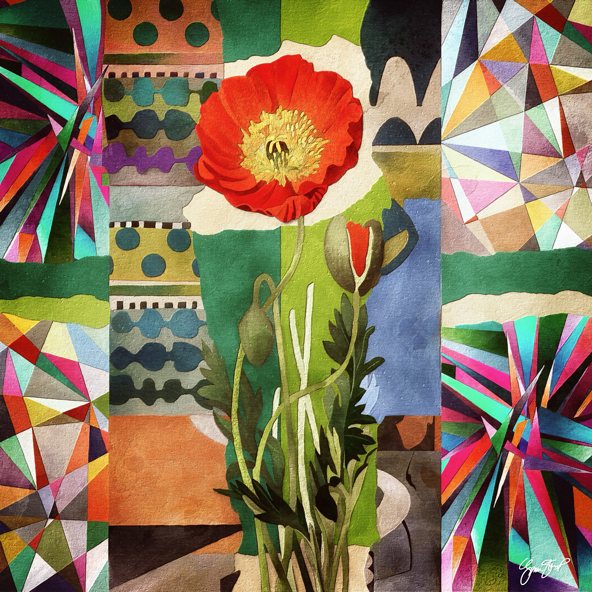 June Six Poppy by Gina Startup