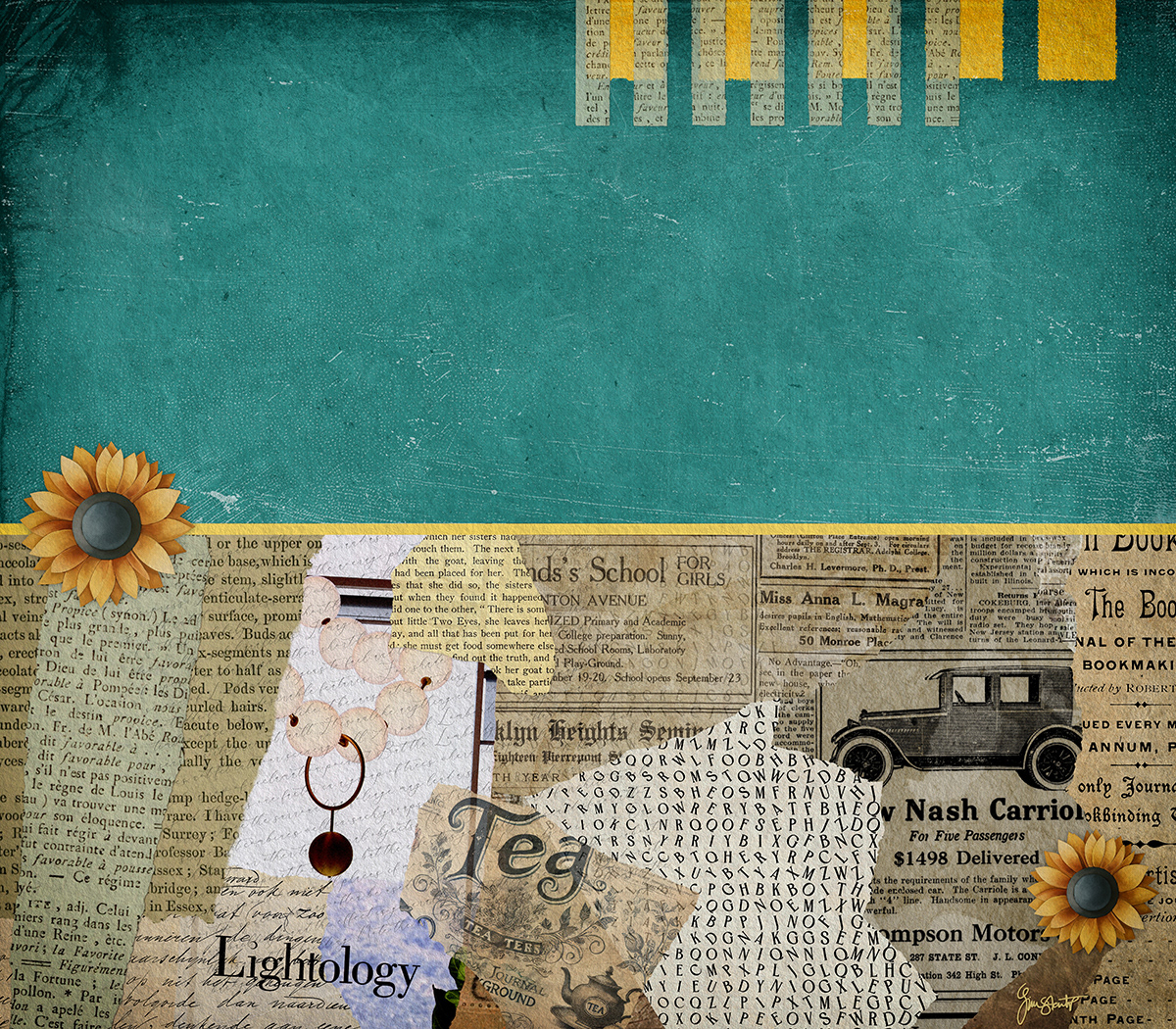 Capture the Sunlight by Gina Startup 