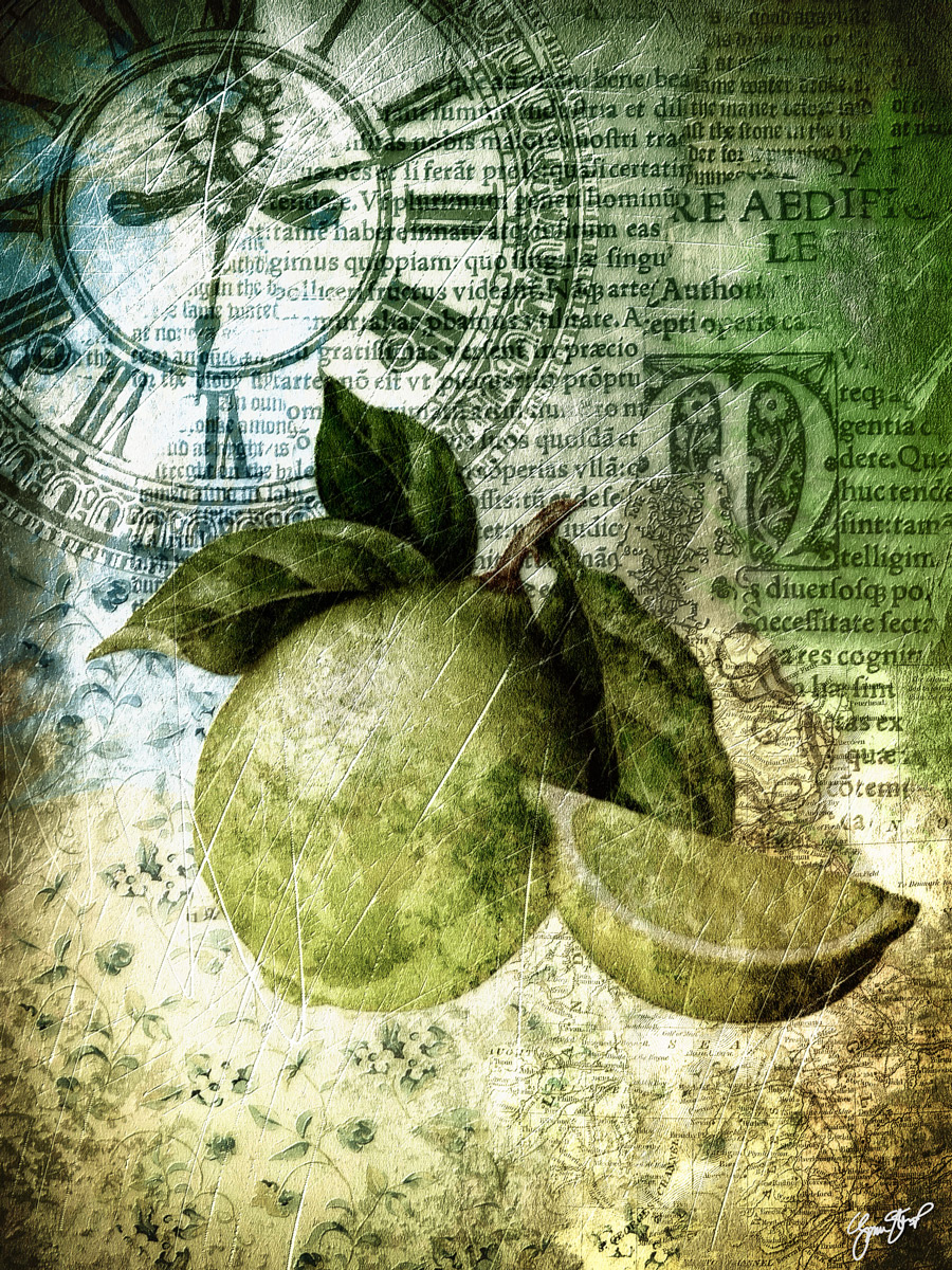 Fruit Paper by Gina Startup