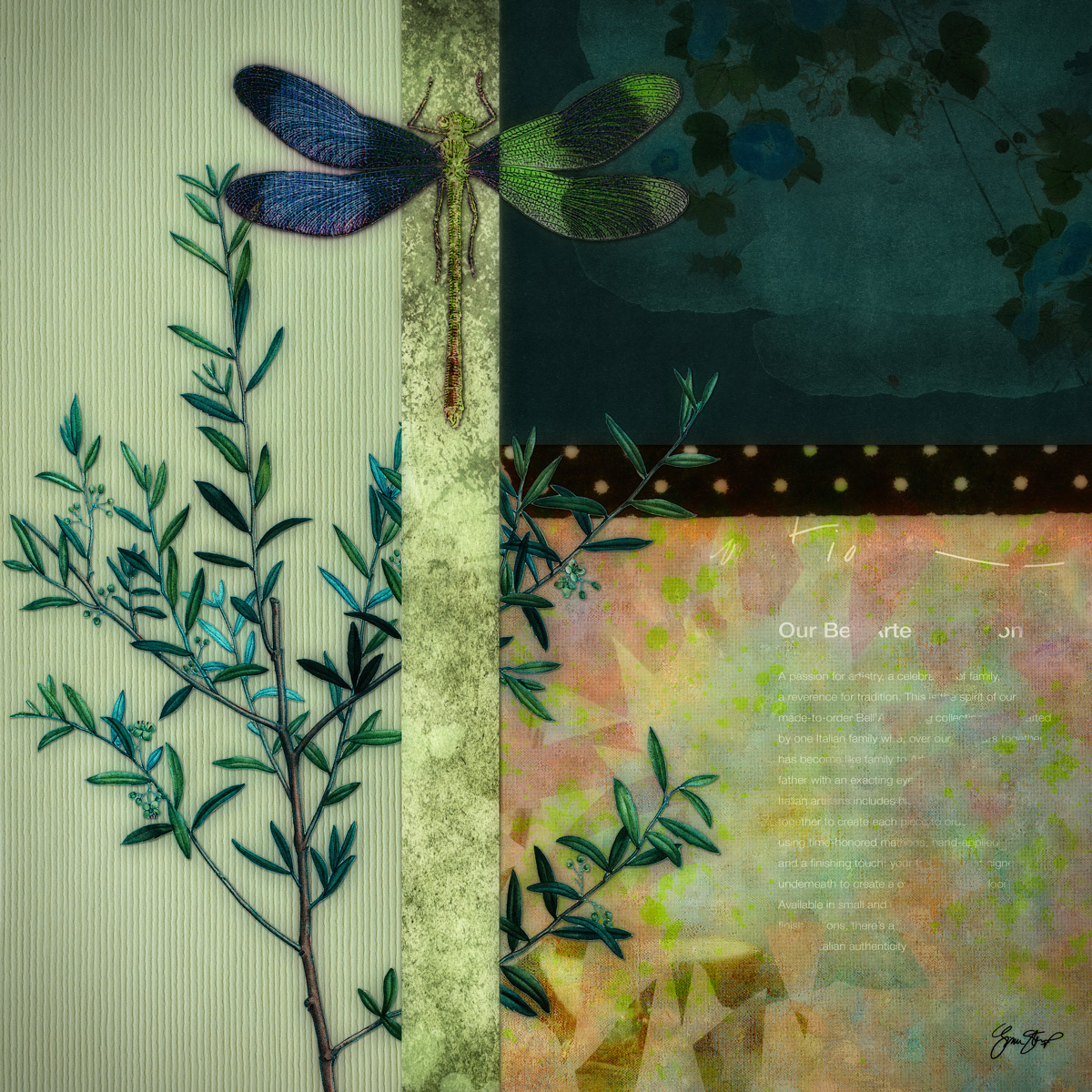 Dragonfly and Rosemary Collage