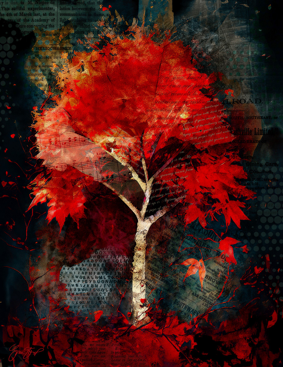 A Lonely Red Maple Tree
