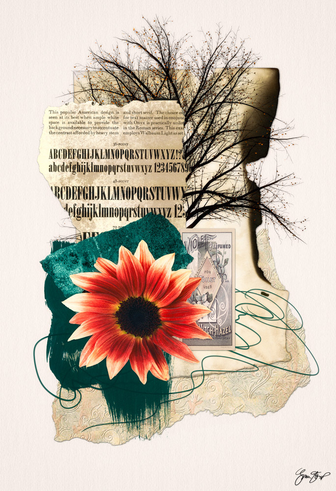 Mixed media collage by Gina Startup