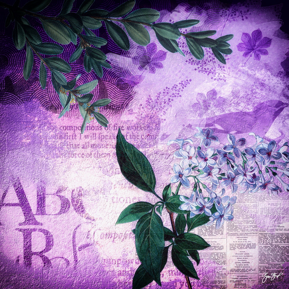 Bird in a Lilac Bush by Gina Startup 