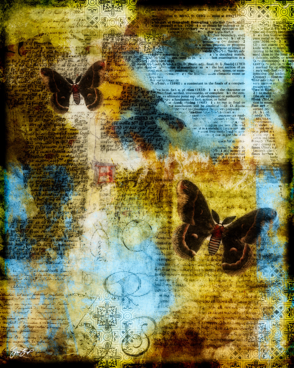Moth Eaten Pages by Gina Startup