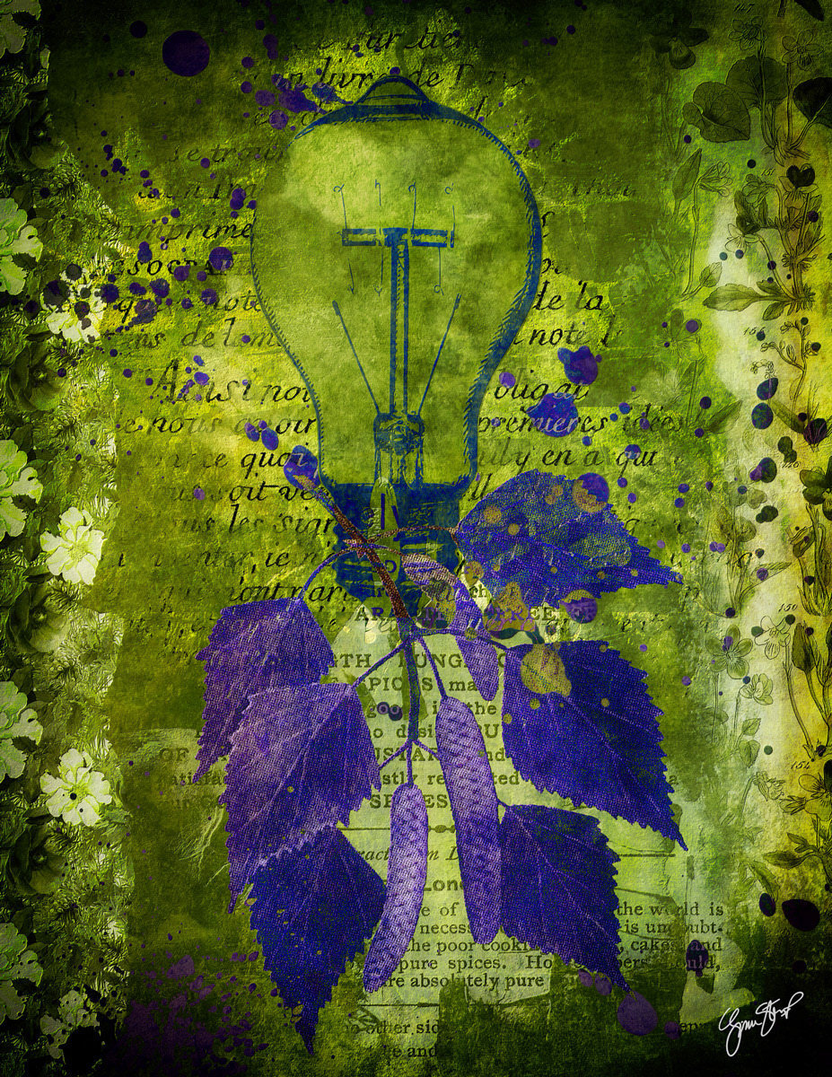 Green Light by Gina Startup 