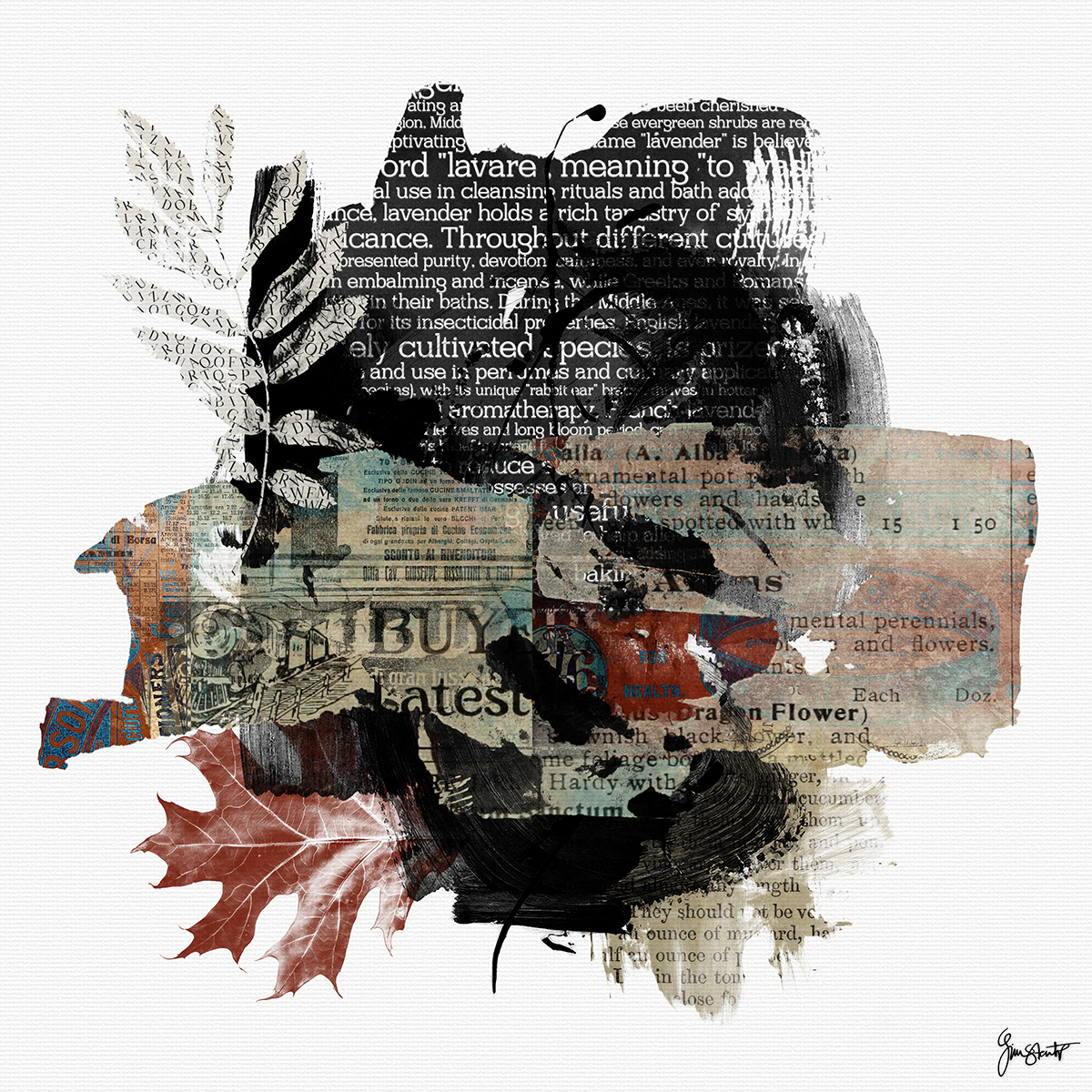 Hidden Conversations by Gina Startup 