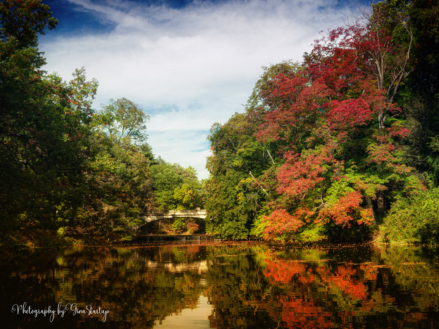 Stone Bridge by Gina Startup 