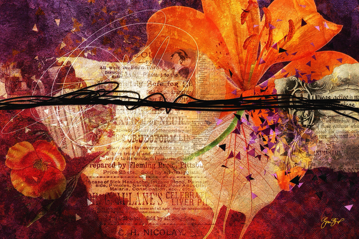 Purple Sky of Orange Fields by Gina Startup