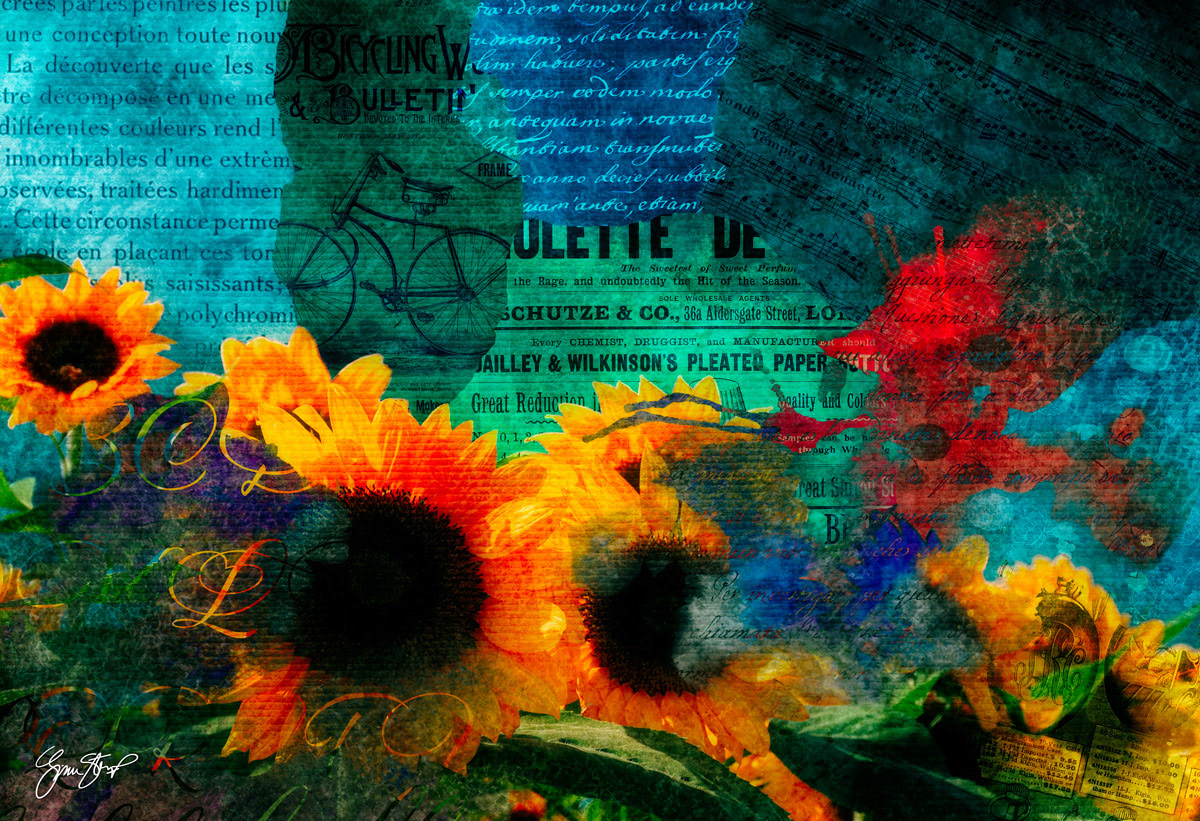 Sunflowers in the Winter by Gina Startup