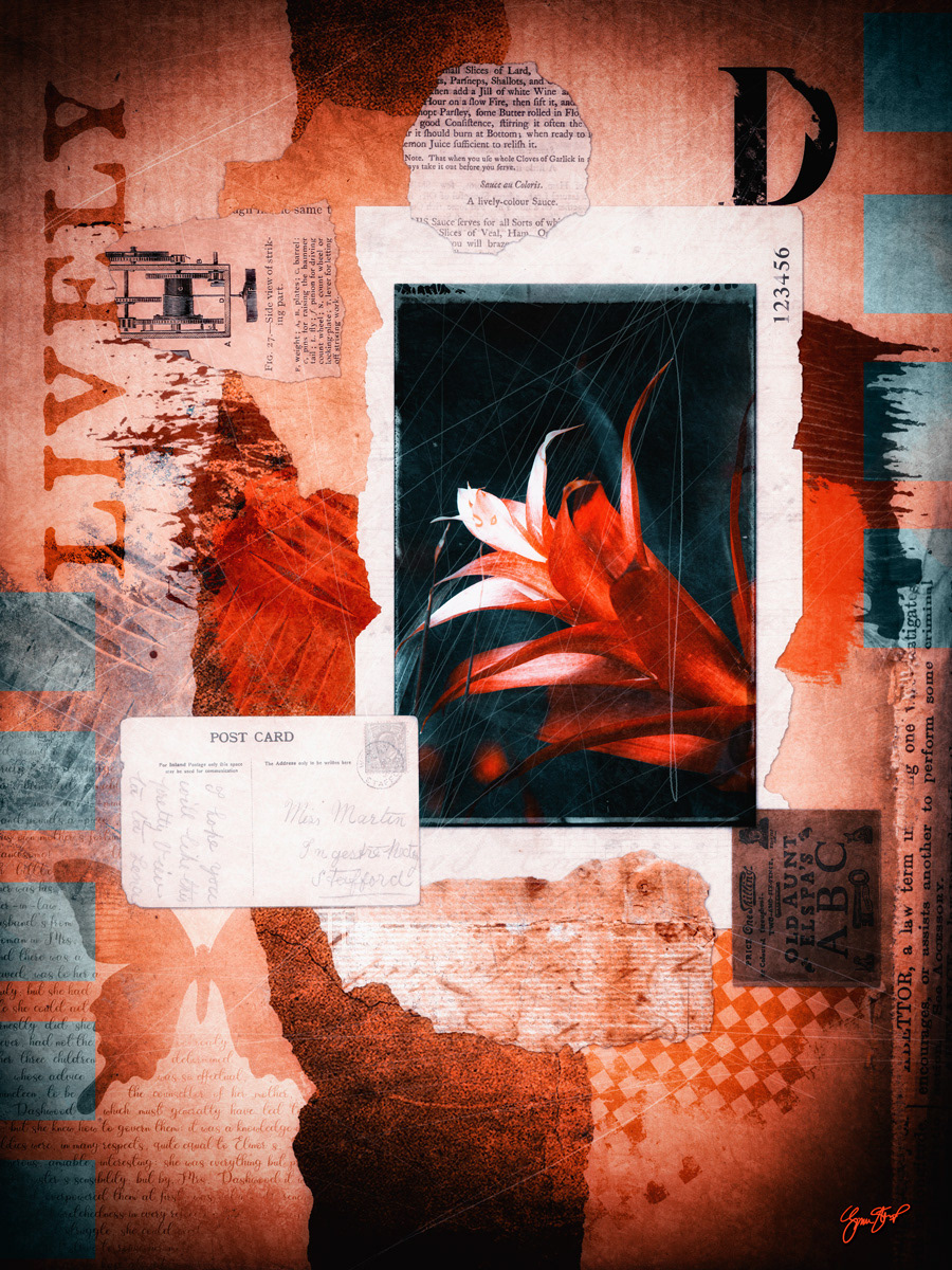 Lively Color by Gina Startup