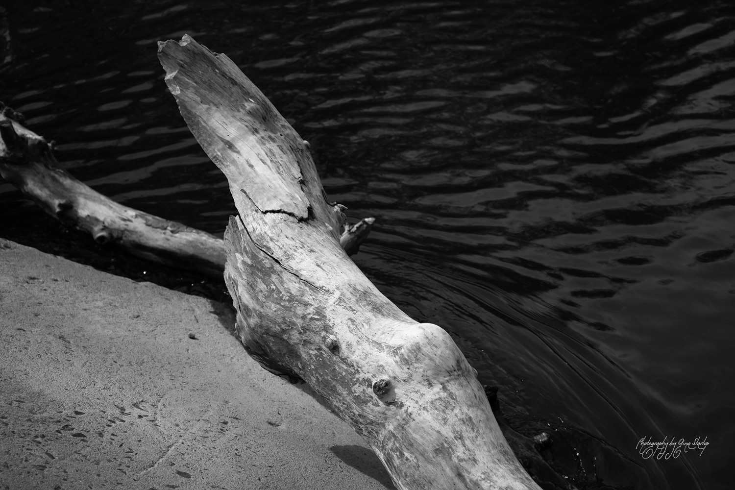 Photography by Gina Startup