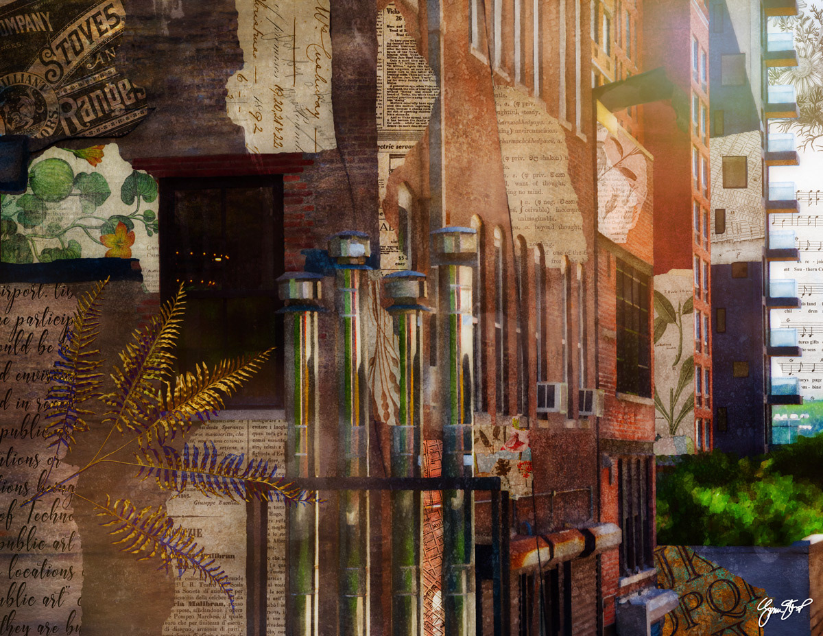 View from the Highline by Gina Startup