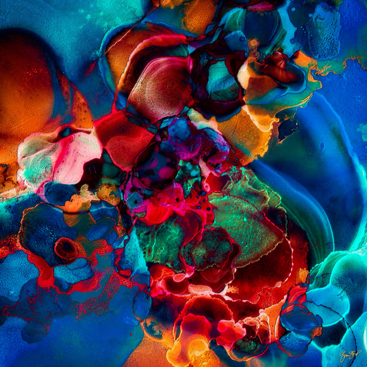 Inside the Volcano by Gina Startup 