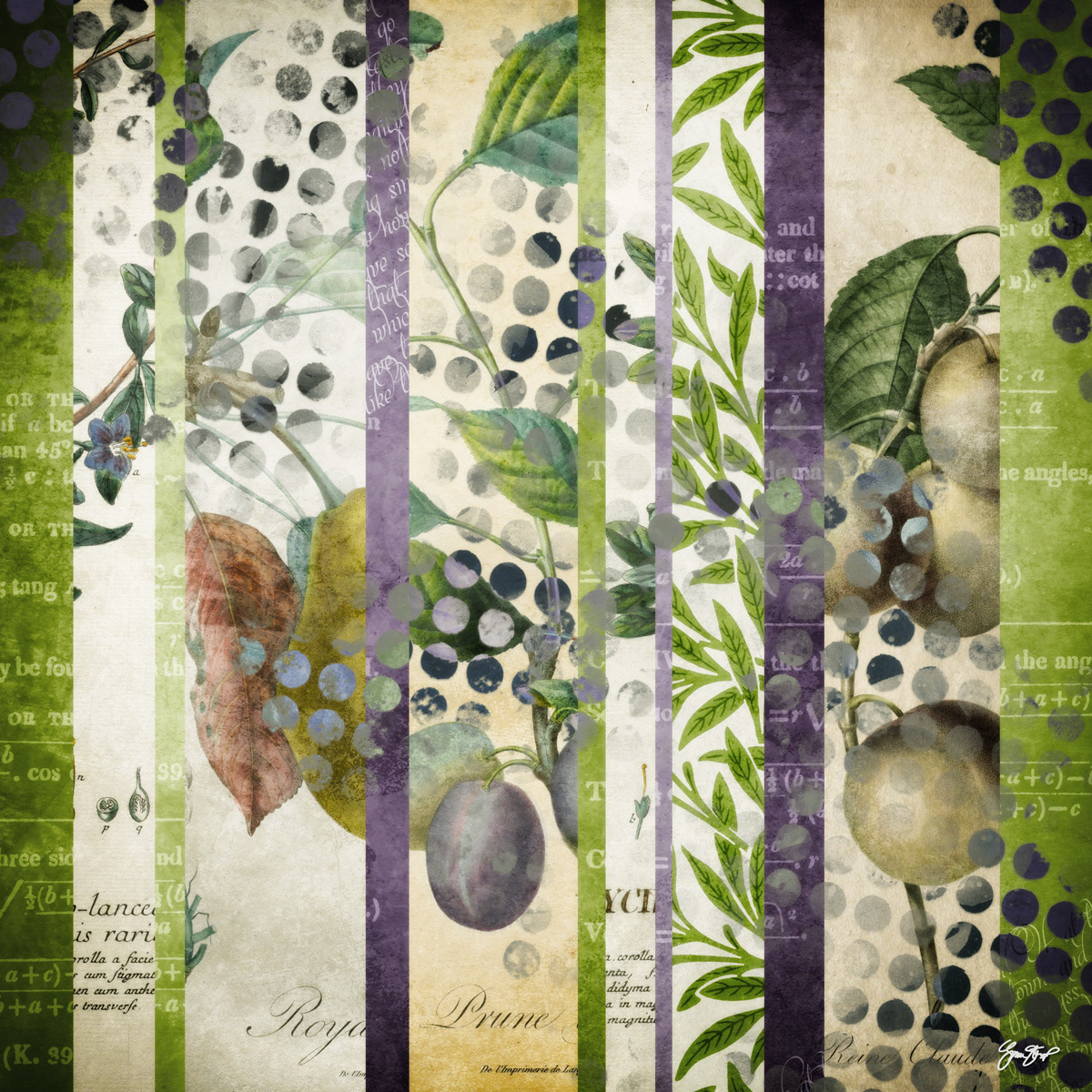 The Study of Fruit Bearing Trees by Gina Startup