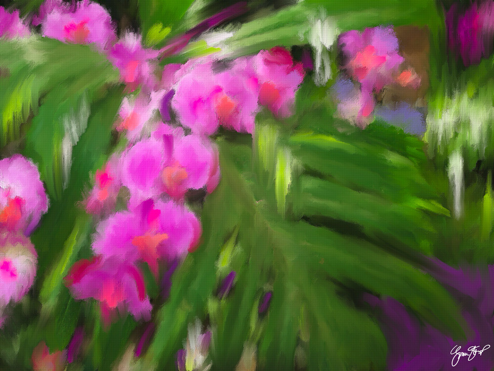 Tropical Orchids