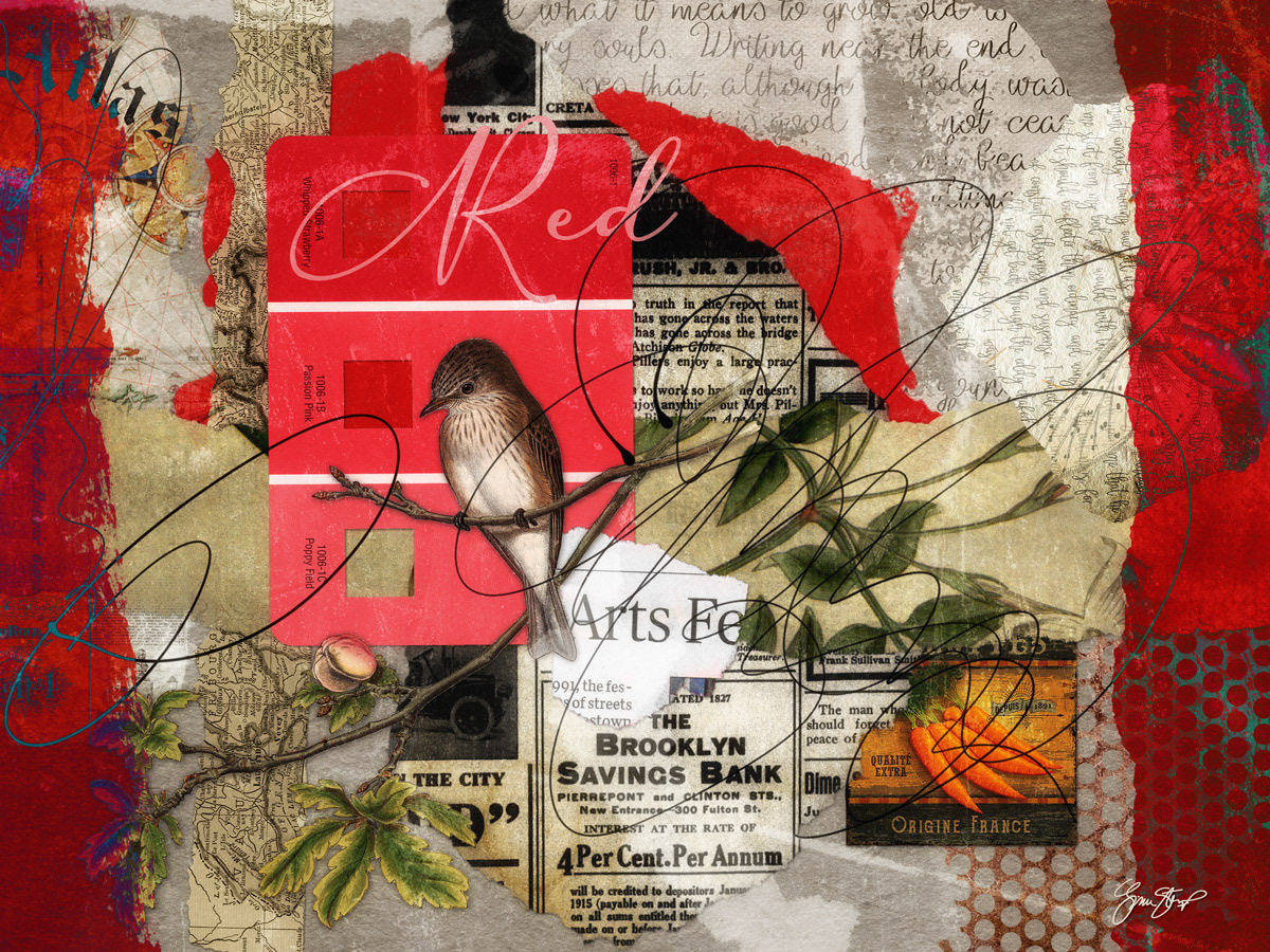 Collage art by Gina Startup