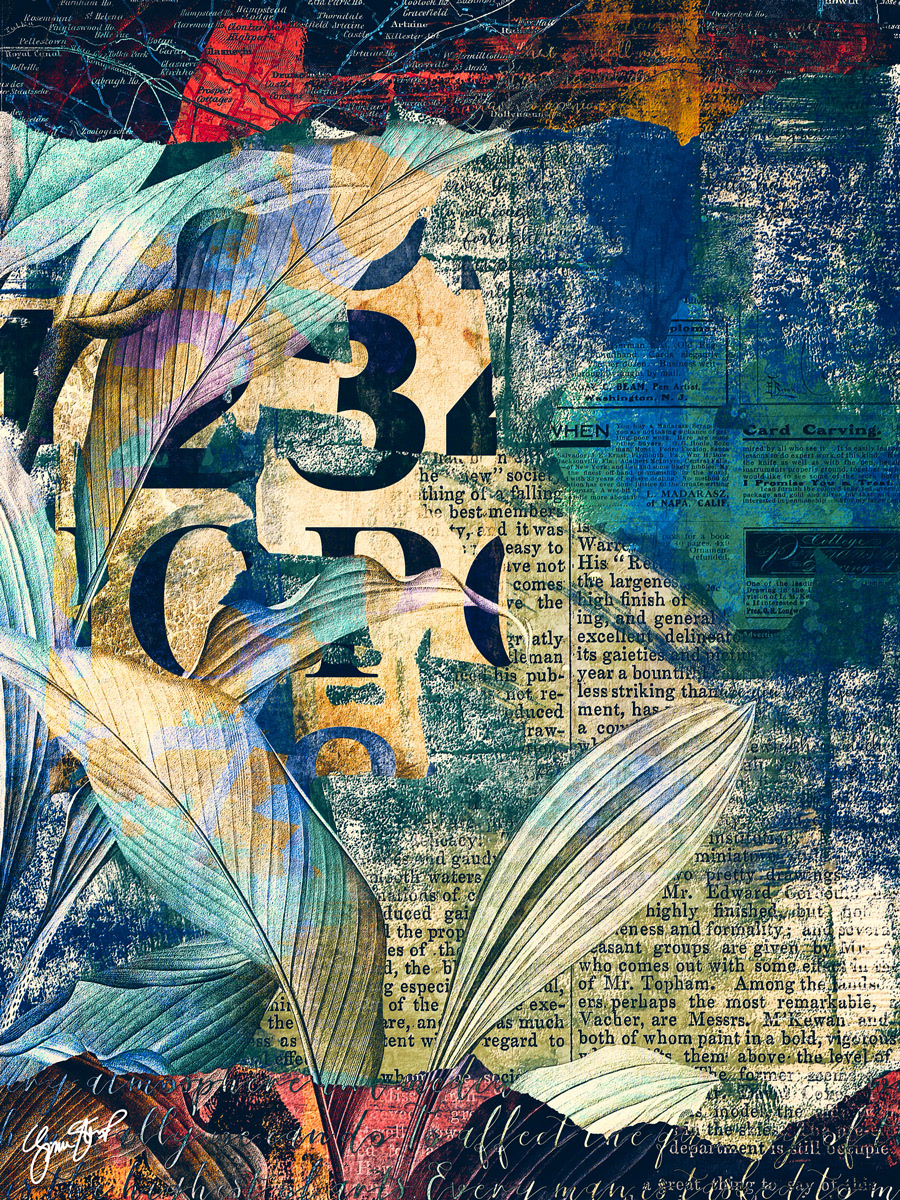 Peak Through the Jungle by Gina Startup 