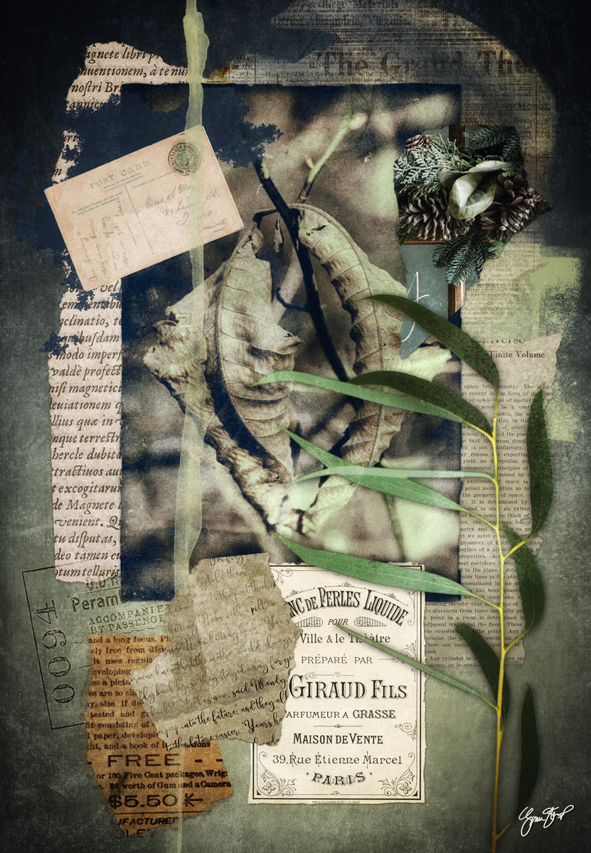 Two Leaf Collage by Gina Startup
