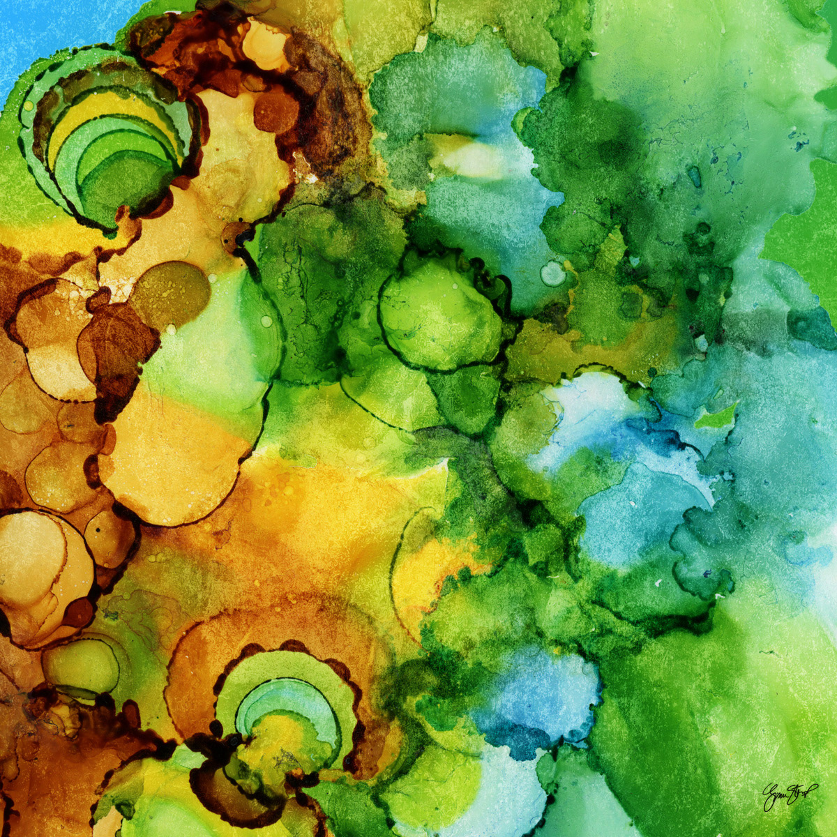 Fluid 17 by Gina Startup