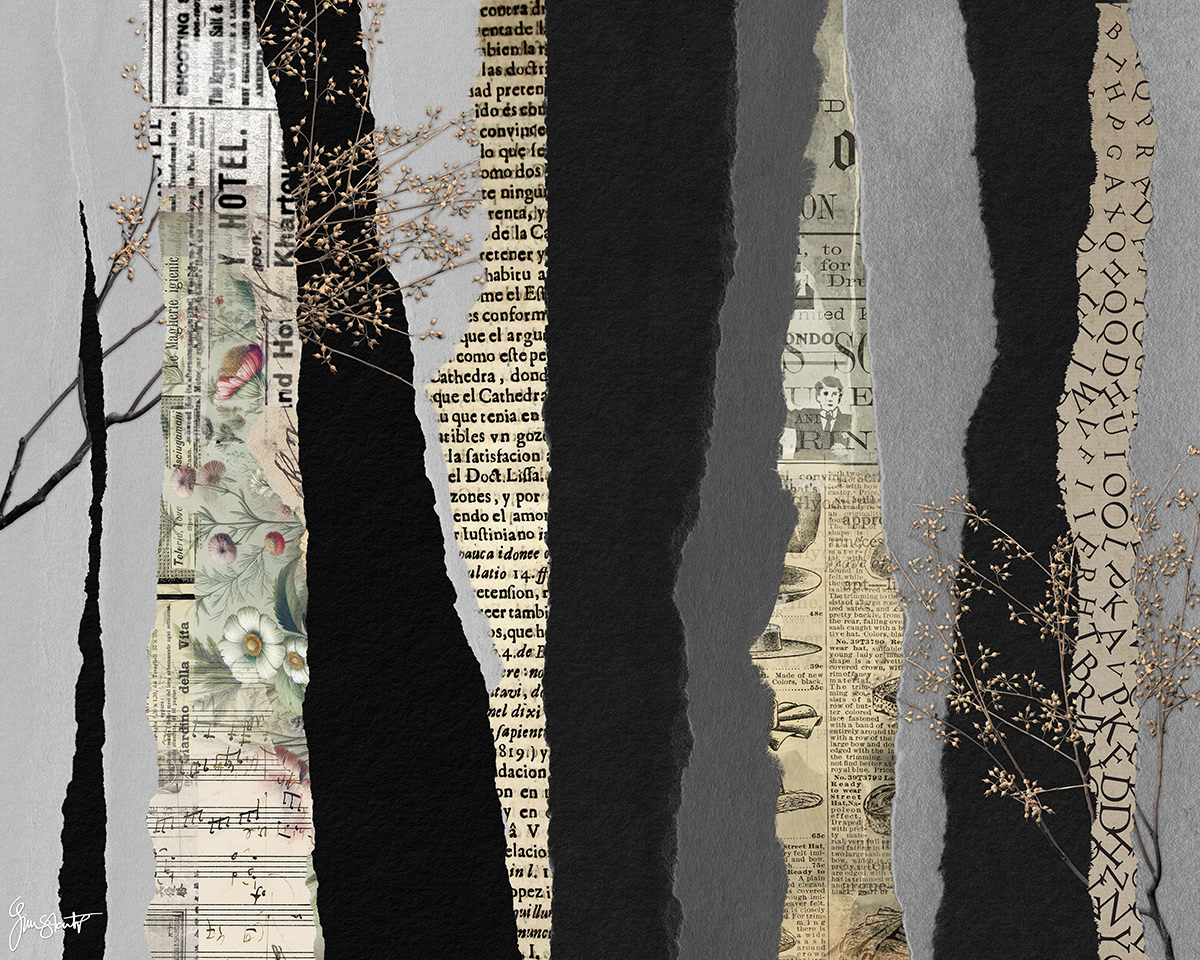 Ripped in Black by Gina Startup 