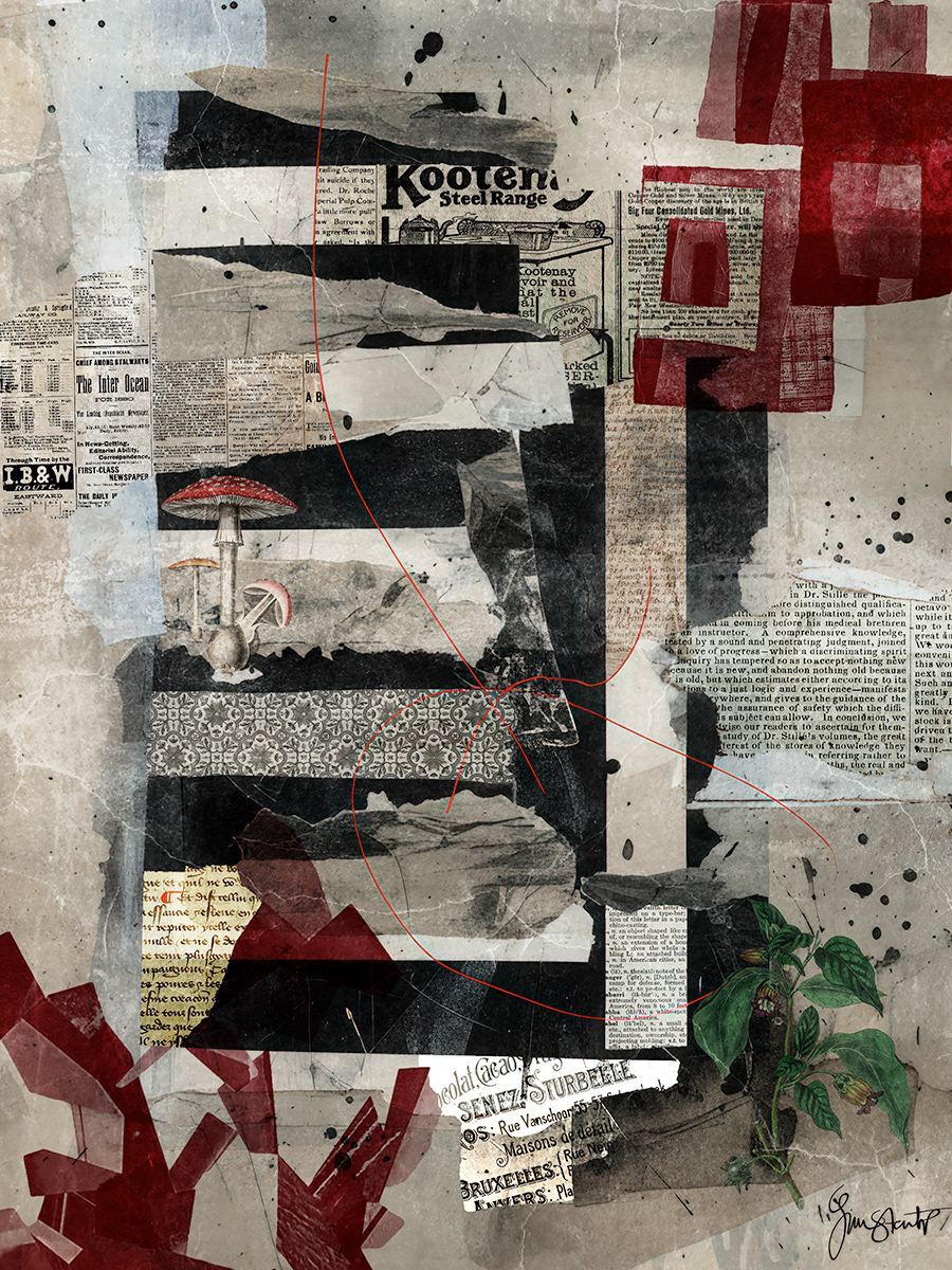 Where Forms Remember by Gina Startup 