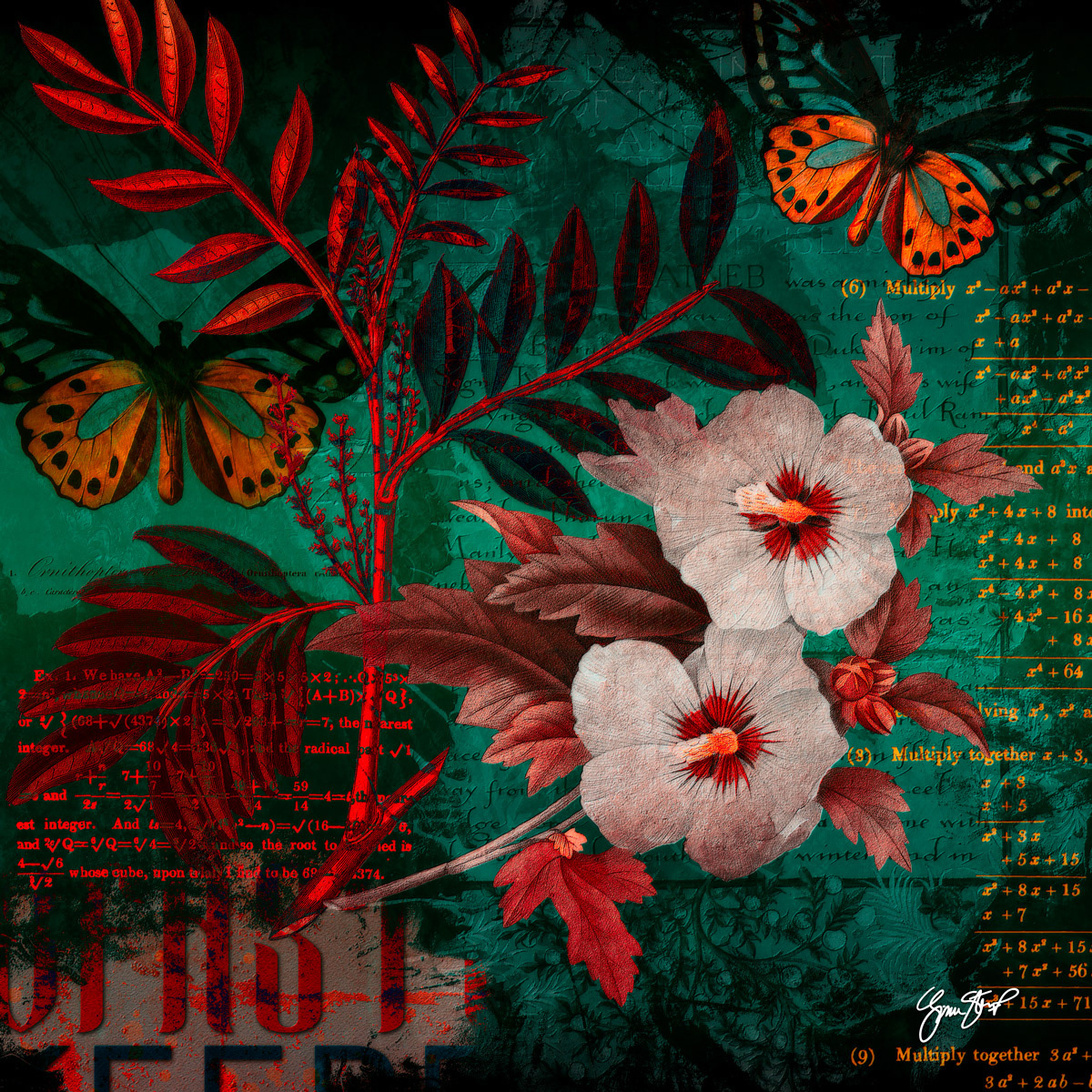 Trees Obscure My View by Gina Startup
