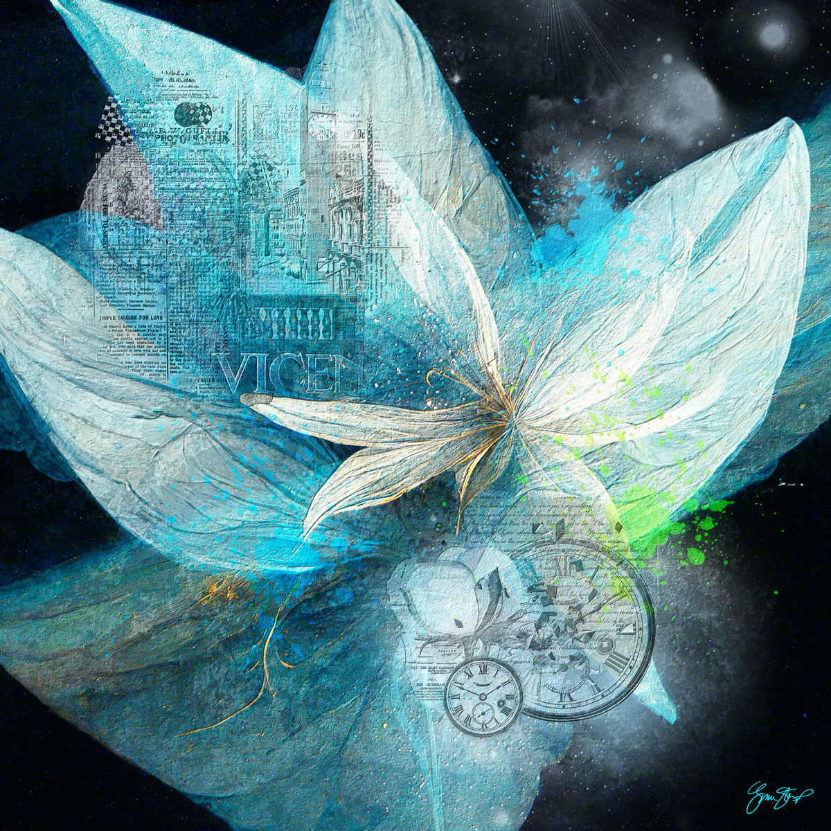 Lily Space Blue by Gina Startup 