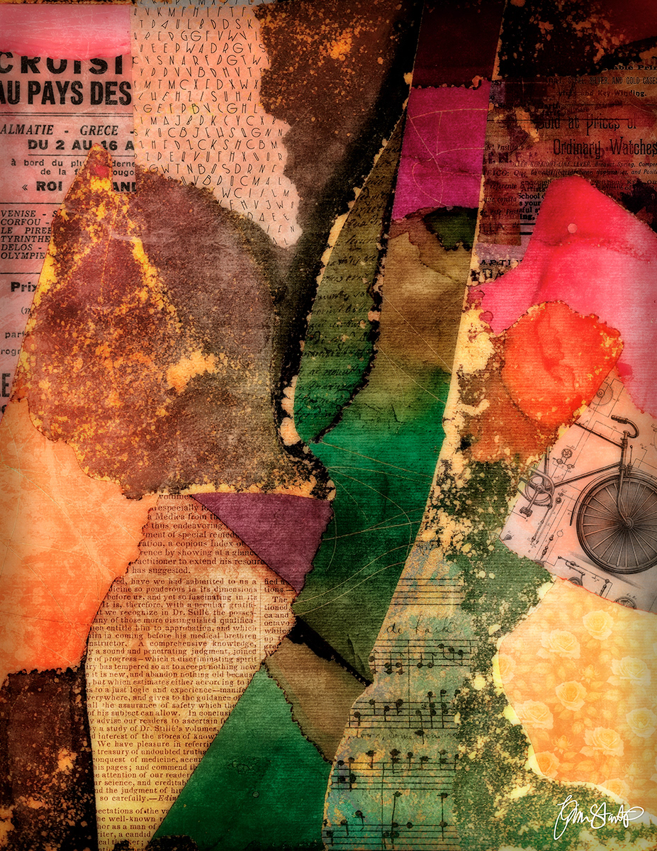 Vacant lots  by Gina Startup 