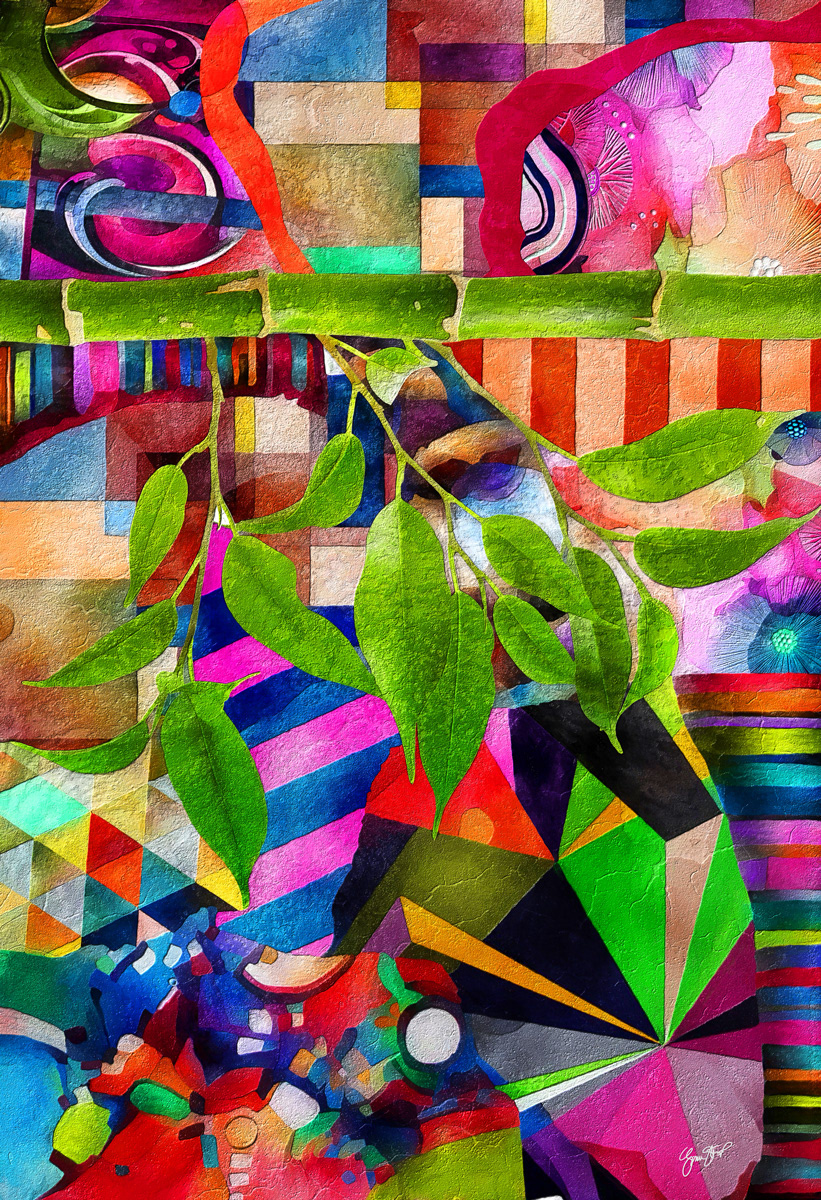 Bamboo Forest by Gina Startup