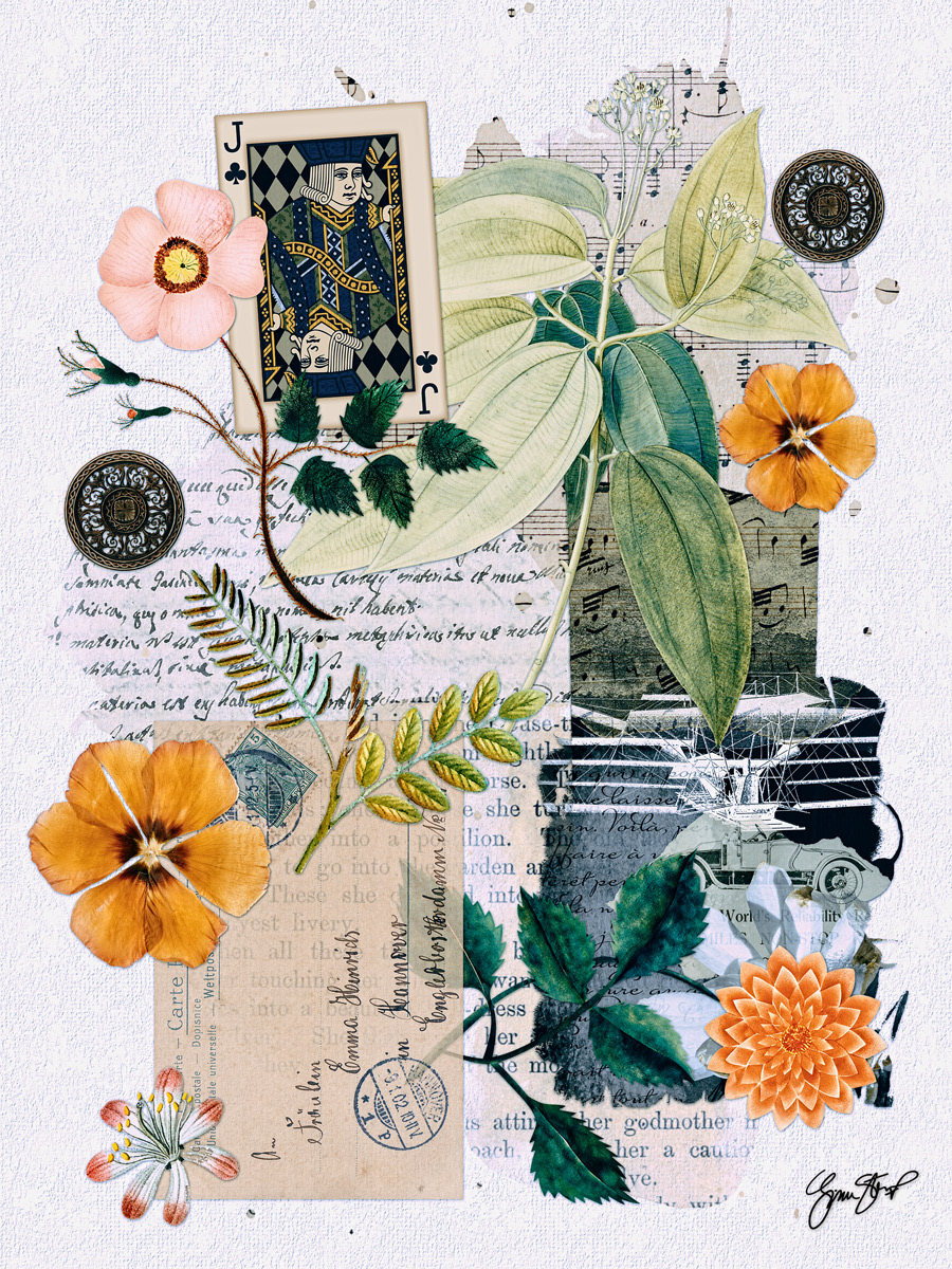 Cards in the Garden by Gina Startup