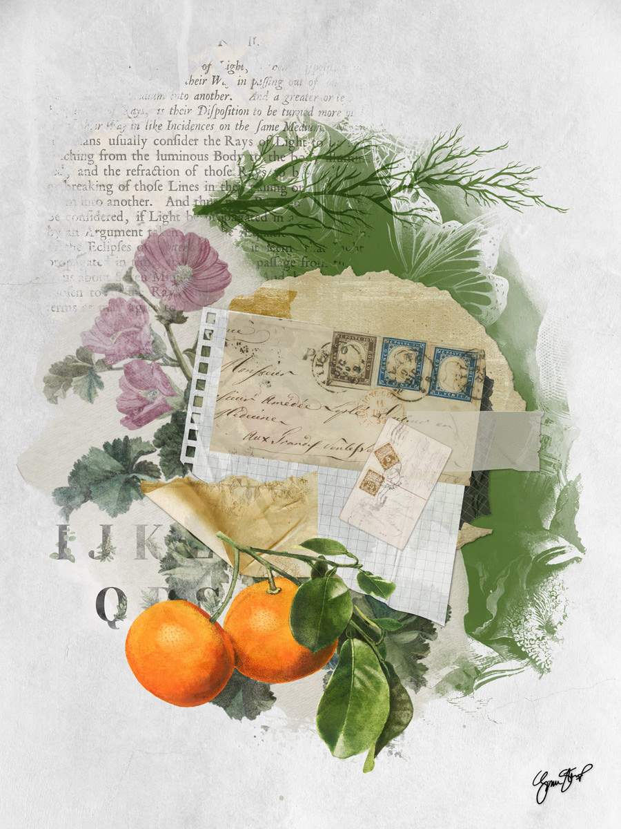 Under the Orange Tree by Gina Startup 