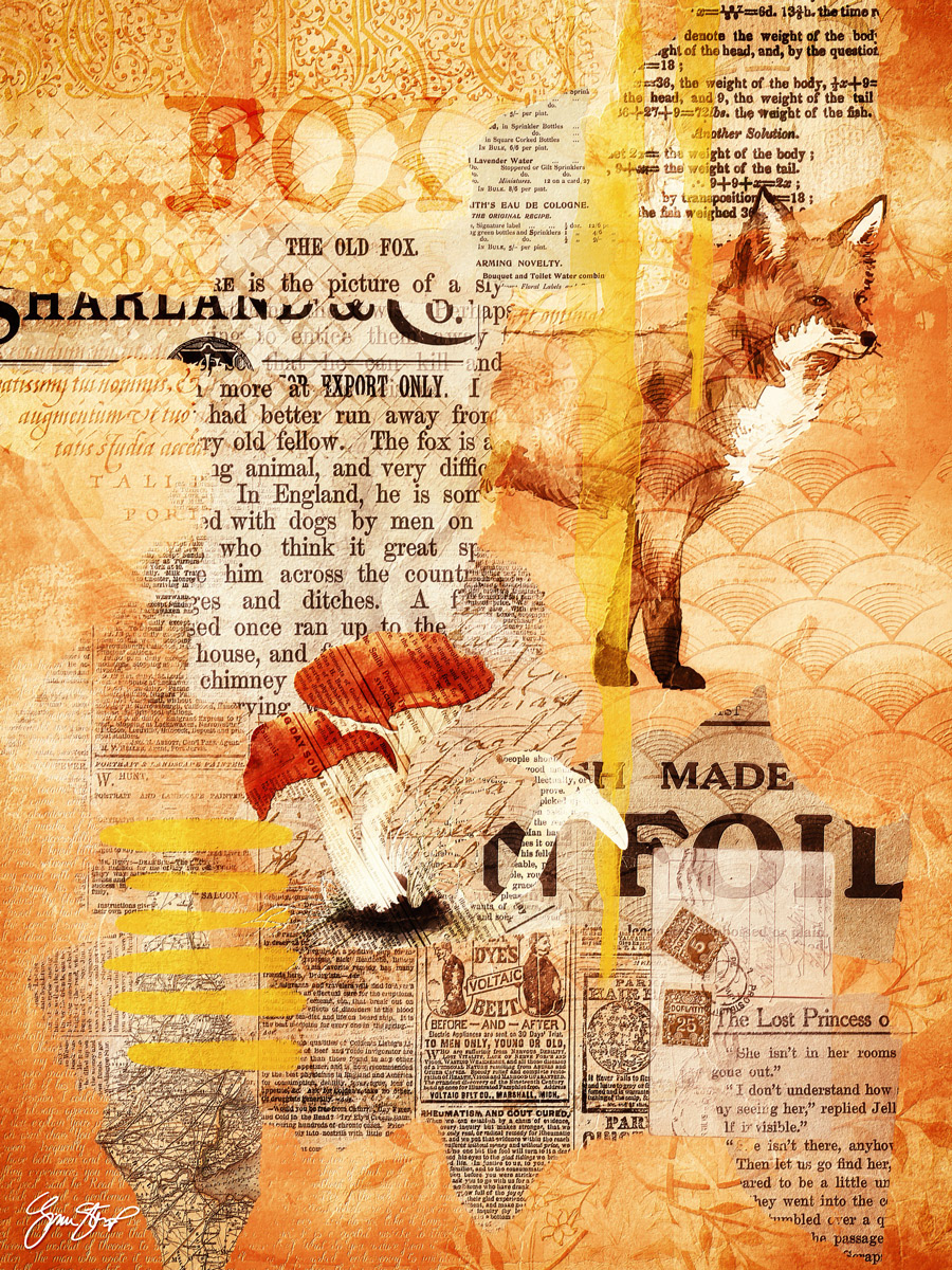The Old Fox by Gina Startup