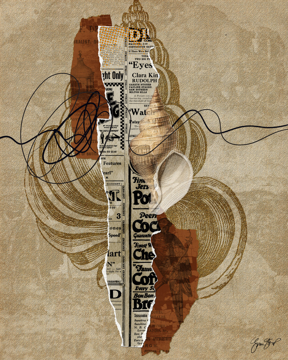 Shell on Newspaper by Gina Startup