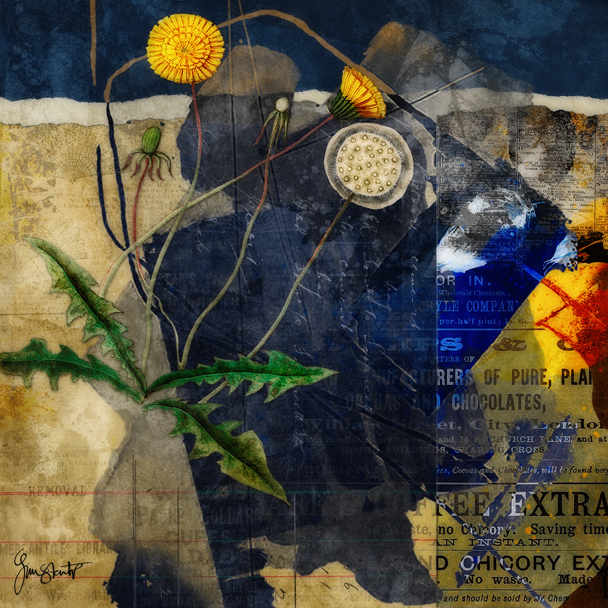 Dandelion Messages by Gina Startup 