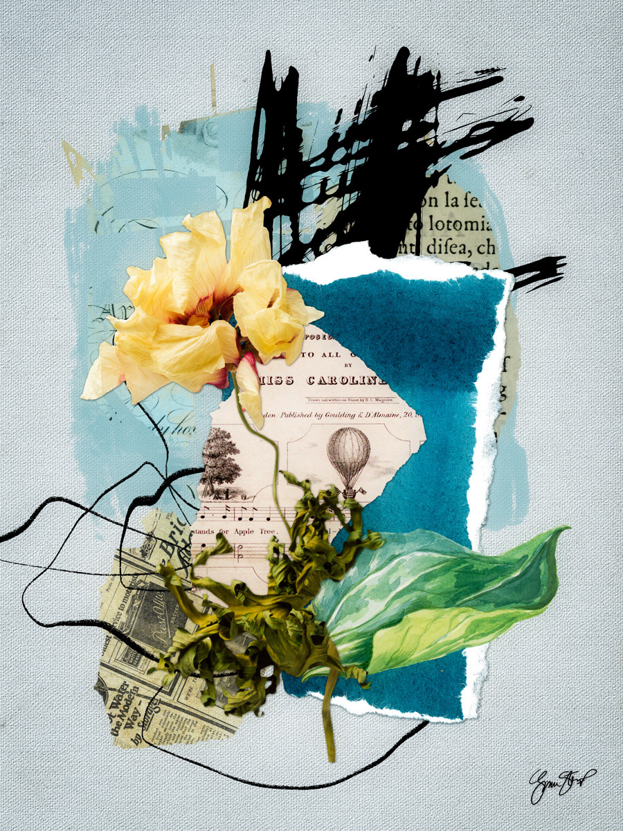 Withering Yellow by Gina Startup