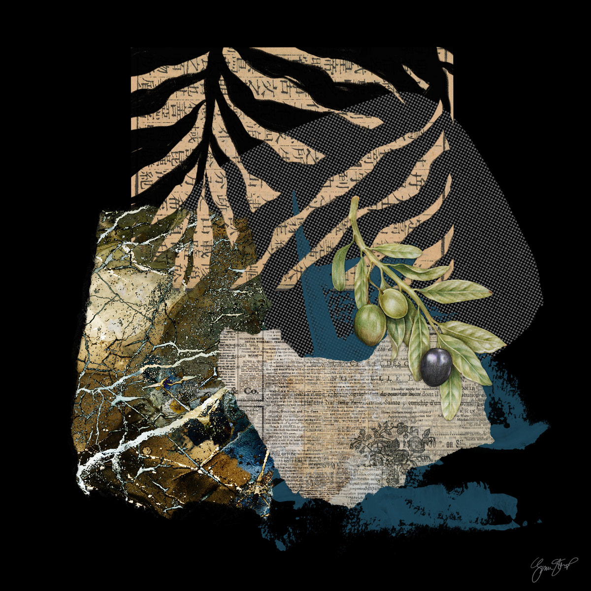 Olive Branch