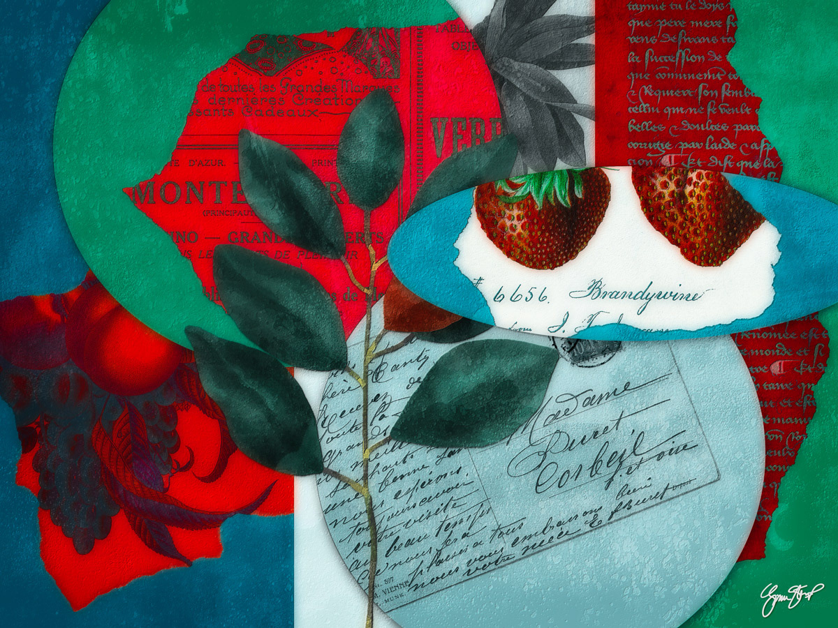 Red Fruit Collage by Gina Startup 